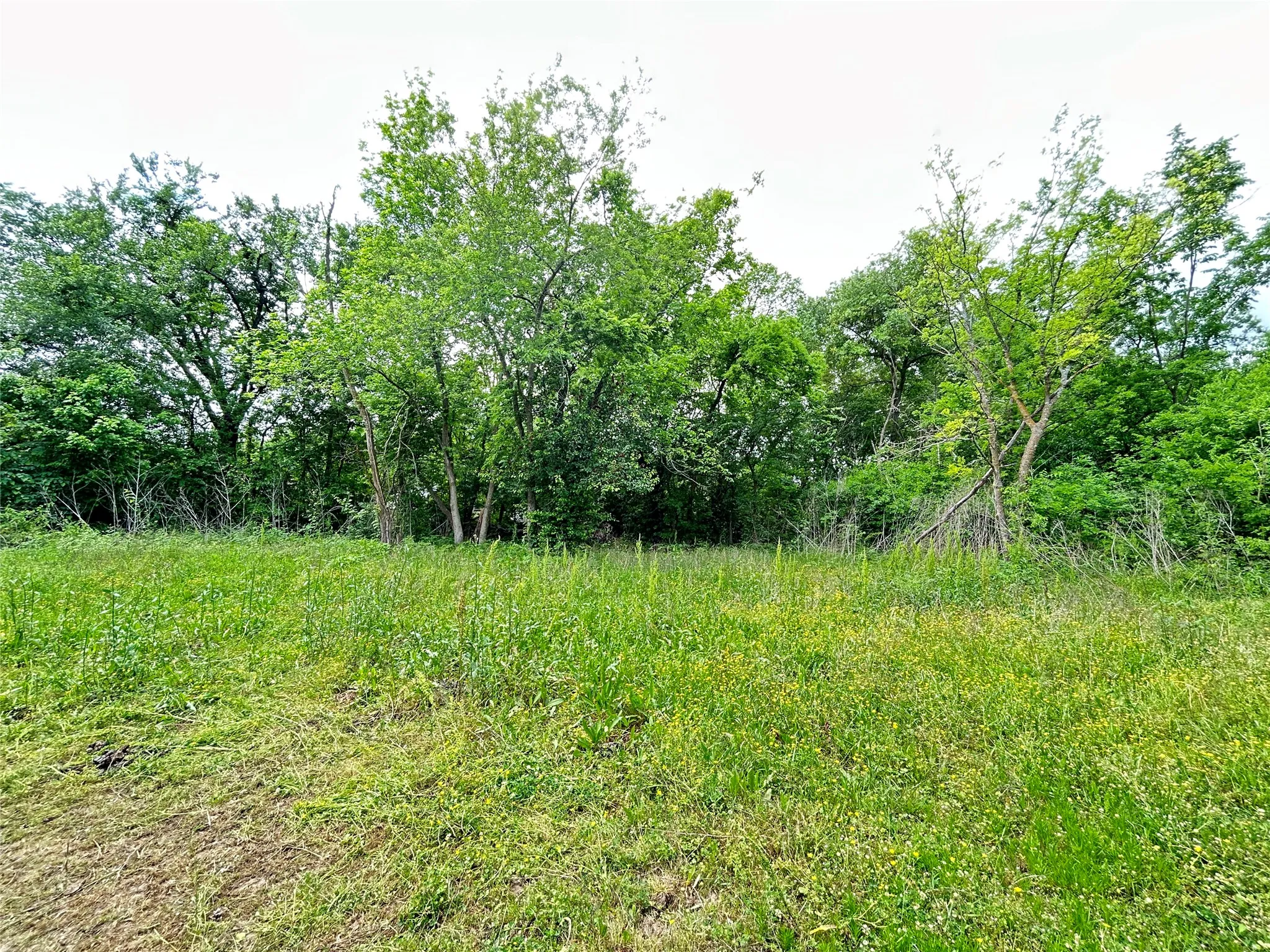 Unimproved Land For Sale in Hopkins County , TBD Sheffield Street, Sulphur Springs, Texas 75482, 0, 0, Garage spaces, 0 Sqft, built in 0, Price $20,000, mls#21244542, Real Estate Agent in Sulphur Springs, Homes For Sale in Hopkins county, Homes For Sale in Sulphur Springs, Realtor in Sulphur Springs Texas, Real Estate Brokerage Independent Realty Texas, Luminita Cordes Realtor