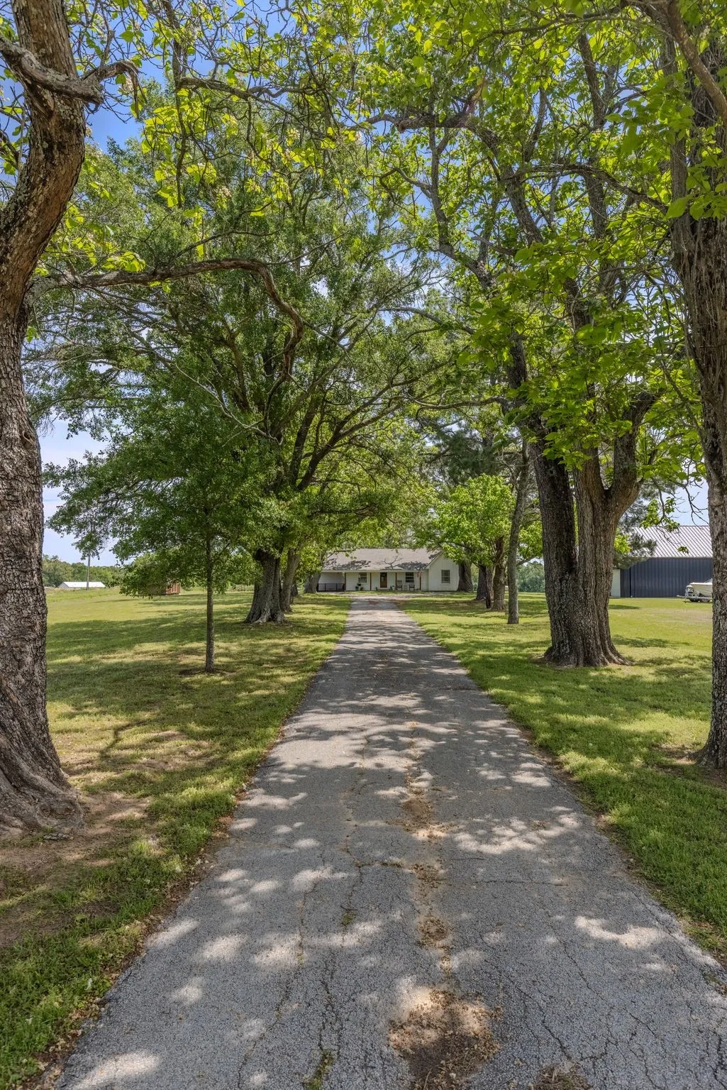 Single Family Residence For Sale in Rains County , 1100 Rs County Road 3150, Emory, Texas 75440, 3 Bedroom, 2 Bathroom, Garage spaces, 1,500 Sqft, built in 1975, mls#21244168, Real Estate Agent in Emory, Homes For Sale in Rains county, Homes For Sale in Emory, Realtor in Emory Texas, Real Estate Brokerage Independent Realty Texas, Luminita Cordes Realtor