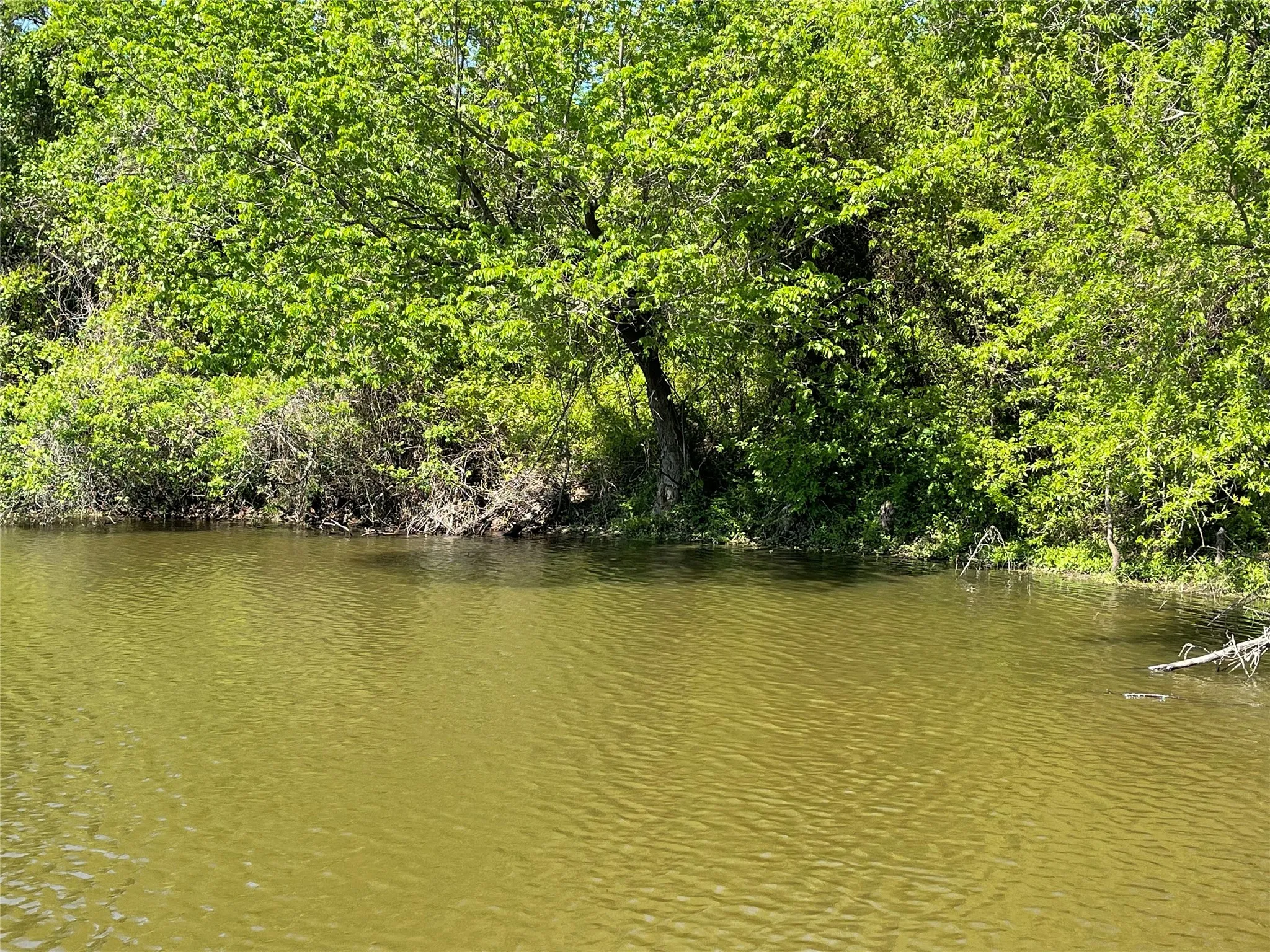 Unimproved Land For Sale in Fannin County , TBD County Road 1400, Ravenna, Texas 75476, 0, 0, Garage spaces, 0 Sqft, built in 0, Price $512,000, mls#21244926, Real Estate Agent in Ravenna, Homes For Sale in Fannin county, Homes For Sale in Ravenna, Realtor in Ravenna Texas, Real Estate Brokerage Independent Realty Texas, Luminita Cordes Realtor