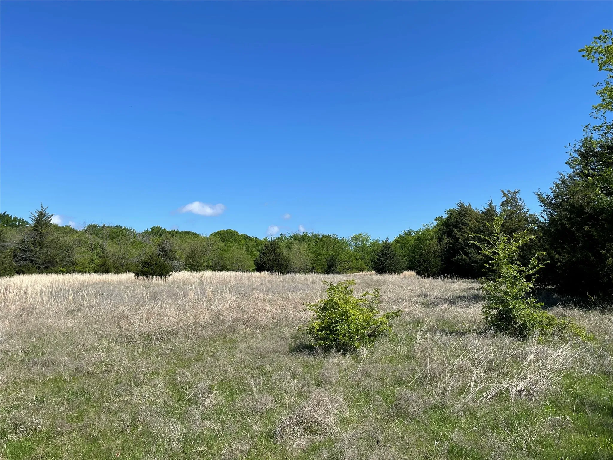 Unimproved Land For Sale in Fannin County , TBD County Road 1400, Ravenna, Texas 75476, 0, 0, Garage spaces, 0 Sqft, built in 0, Price $512,000, mls#21244926, Real Estate Agent in Ravenna, Homes For Sale in Fannin county, Homes For Sale in Ravenna, Realtor in Ravenna Texas, Real Estate Brokerage Independent Realty Texas, Luminita Cordes Realtor