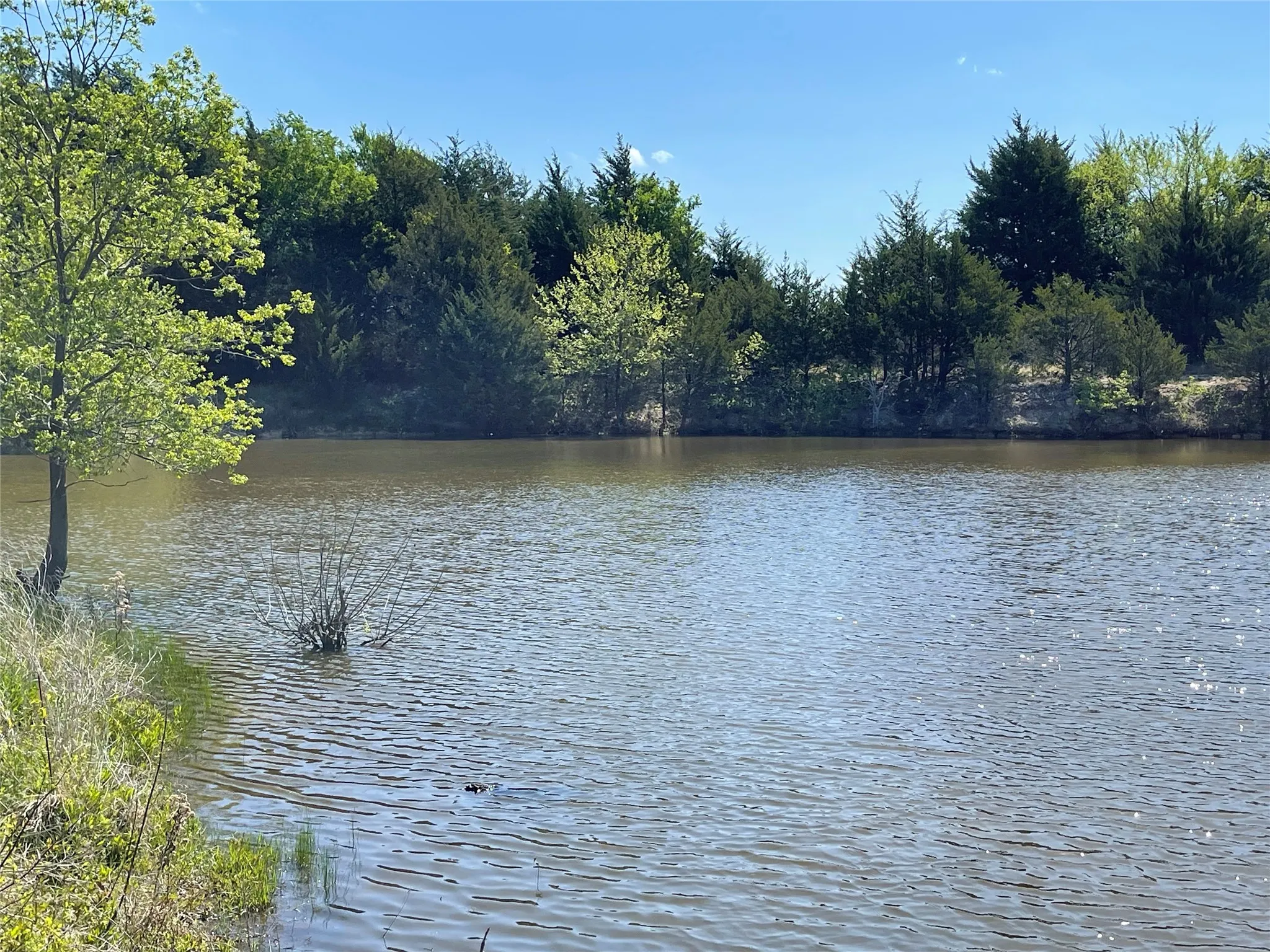 Unimproved Land For Sale in Fannin County , TBD County Road 1400, Ravenna, Texas 75476, 0, 0, Garage spaces, 0 Sqft, built in 0, Price $512,000, mls#21244926, Real Estate Agent in Ravenna, Homes For Sale in Fannin county, Homes For Sale in Ravenna, Realtor in Ravenna Texas, Real Estate Brokerage Independent Realty Texas, Luminita Cordes Realtor