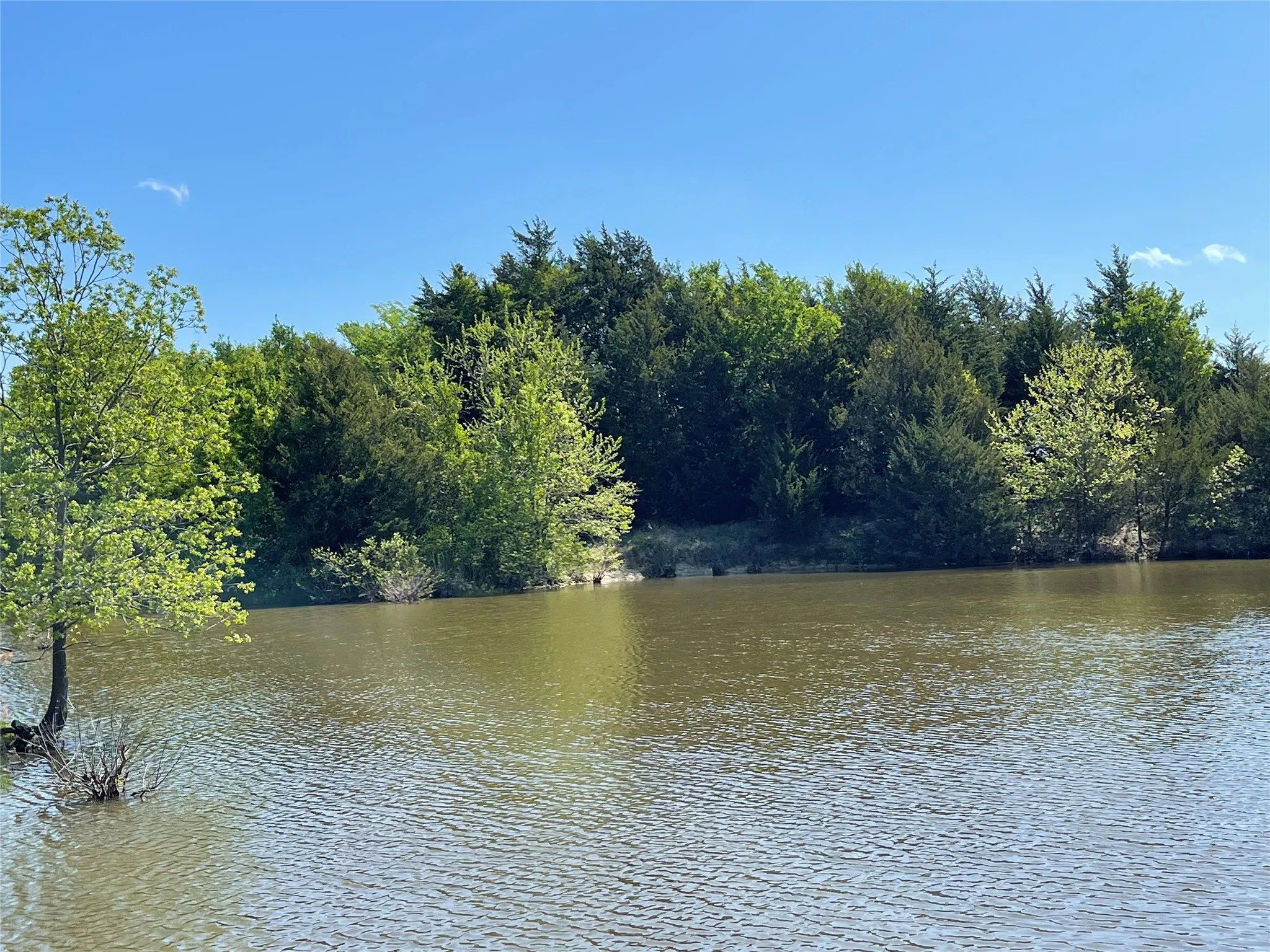 Unimproved Land For Sale in Fannin County , TBD County Road 1400, Ravenna, Texas 75476, 0, 0, Garage spaces, 0 Sqft, built in 0, Price $512,000, mls#21244926, Real Estate Agent in Ravenna, Homes For Sale in Fannin county, Homes For Sale in Ravenna, Realtor in Ravenna Texas, Real Estate Brokerage Independent Realty Texas, Luminita Cordes Realtor