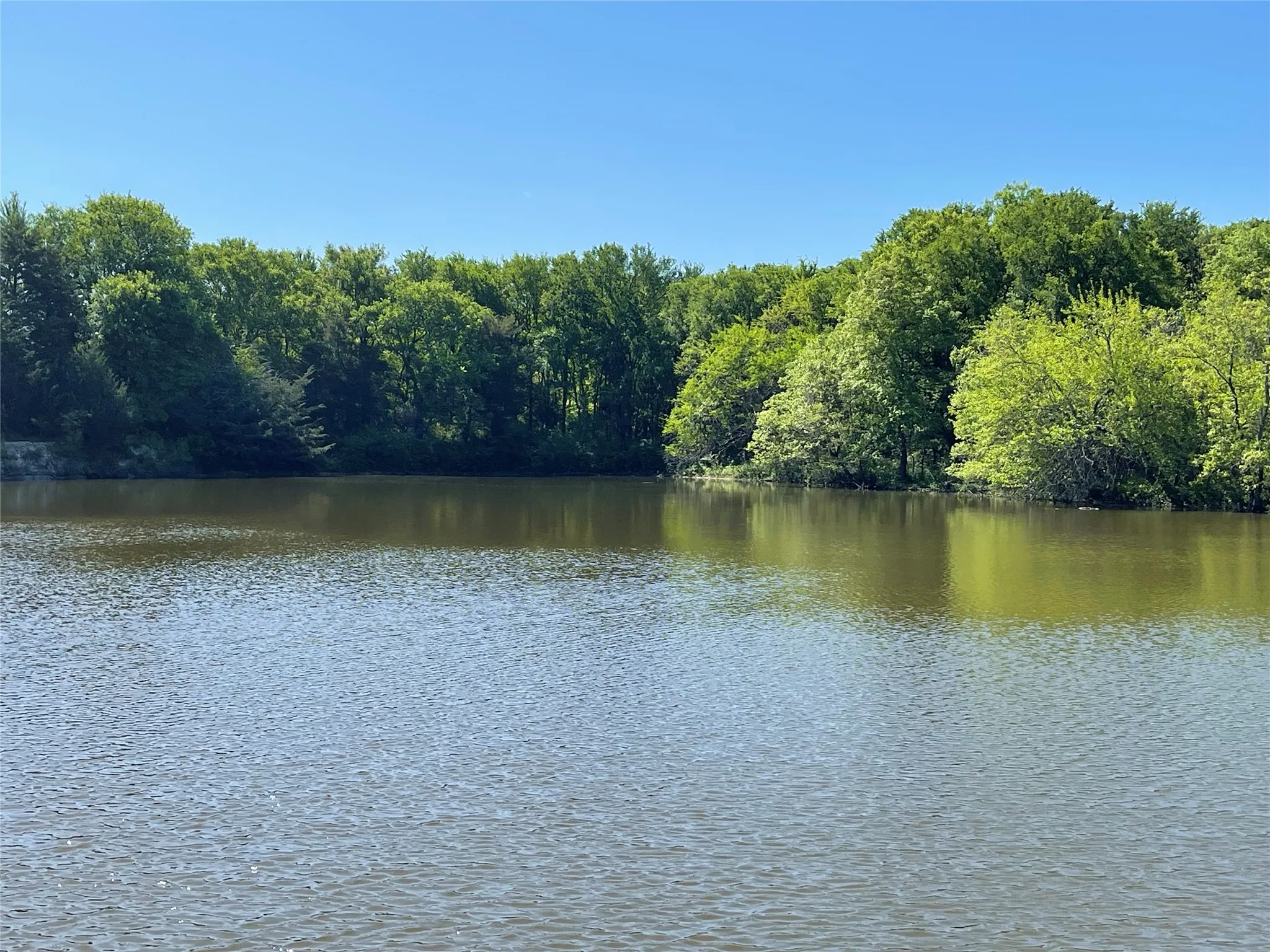 Unimproved Land For Sale in Fannin County , TBD County Road 1400, Ravenna, Texas 75476, 0, 0, Garage spaces, 0 Sqft, built in 0, Price $512,000, mls#21244926, Real Estate Agent in Ravenna, Homes For Sale in Fannin county, Homes For Sale in Ravenna, Realtor in Ravenna Texas, Real Estate Brokerage Independent Realty Texas, Luminita Cordes Realtor
