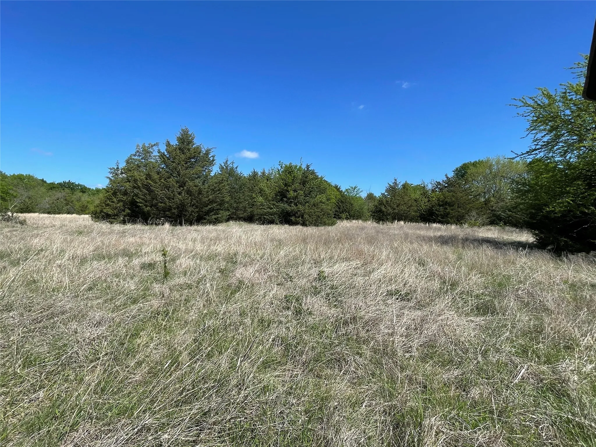 Unimproved Land For Sale in Fannin County , TBD County Road 1400, Ravenna, Texas 75476, 0, 0, Garage spaces, 0 Sqft, built in 0, Price $512,000, mls#21244926, Real Estate Agent in Ravenna, Homes For Sale in Fannin county, Homes For Sale in Ravenna, Realtor in Ravenna Texas, Real Estate Brokerage Independent Realty Texas, Luminita Cordes Realtor