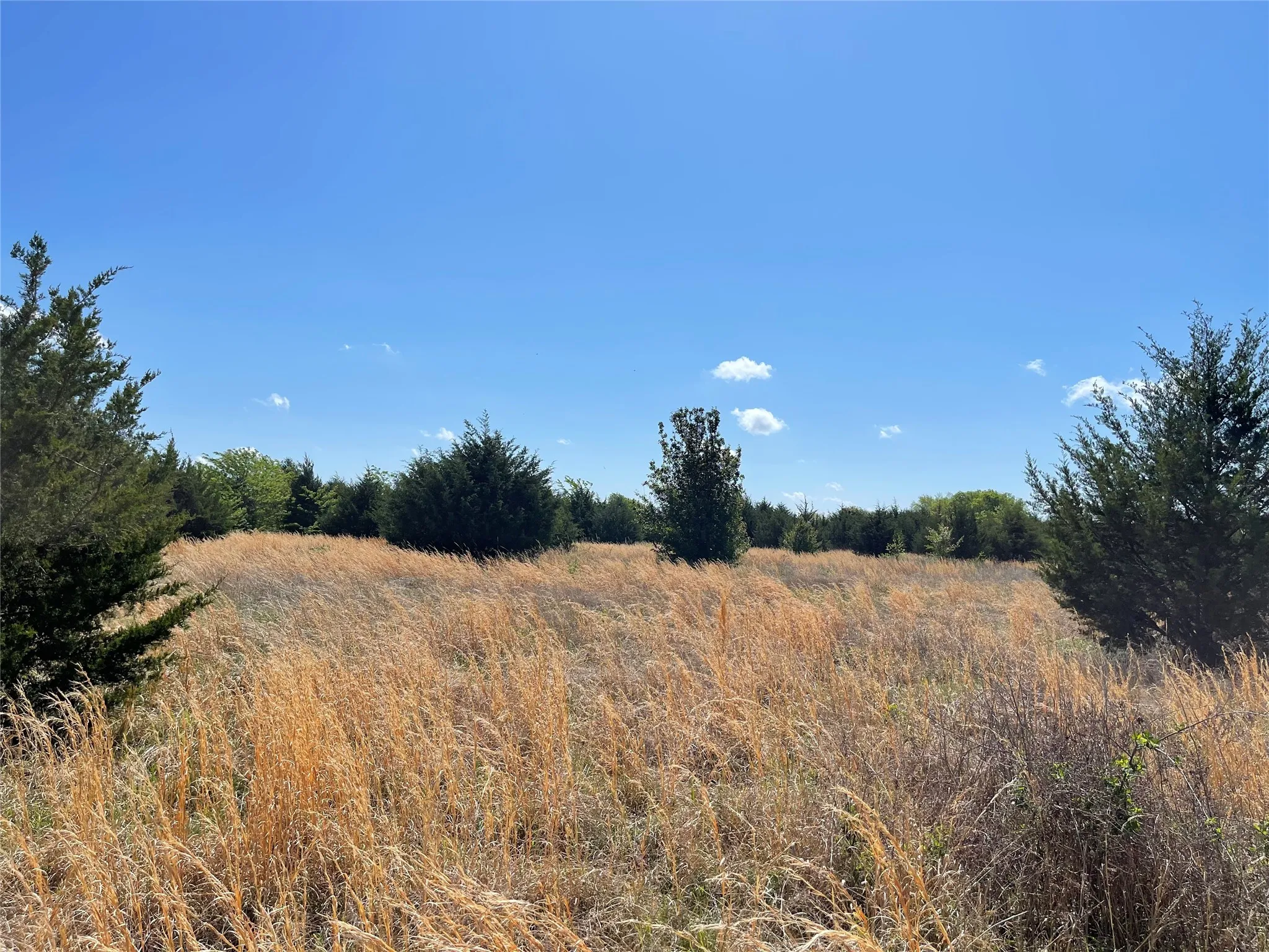 Unimproved Land For Sale in Fannin County , TBD County Road 1400, Ravenna, Texas 75476, 0, 0, Garage spaces, 0 Sqft, built in 0, Price $512,000, mls#21244926, Real Estate Agent in Ravenna, Homes For Sale in Fannin county, Homes For Sale in Ravenna, Realtor in Ravenna Texas, Real Estate Brokerage Independent Realty Texas, Luminita Cordes Realtor