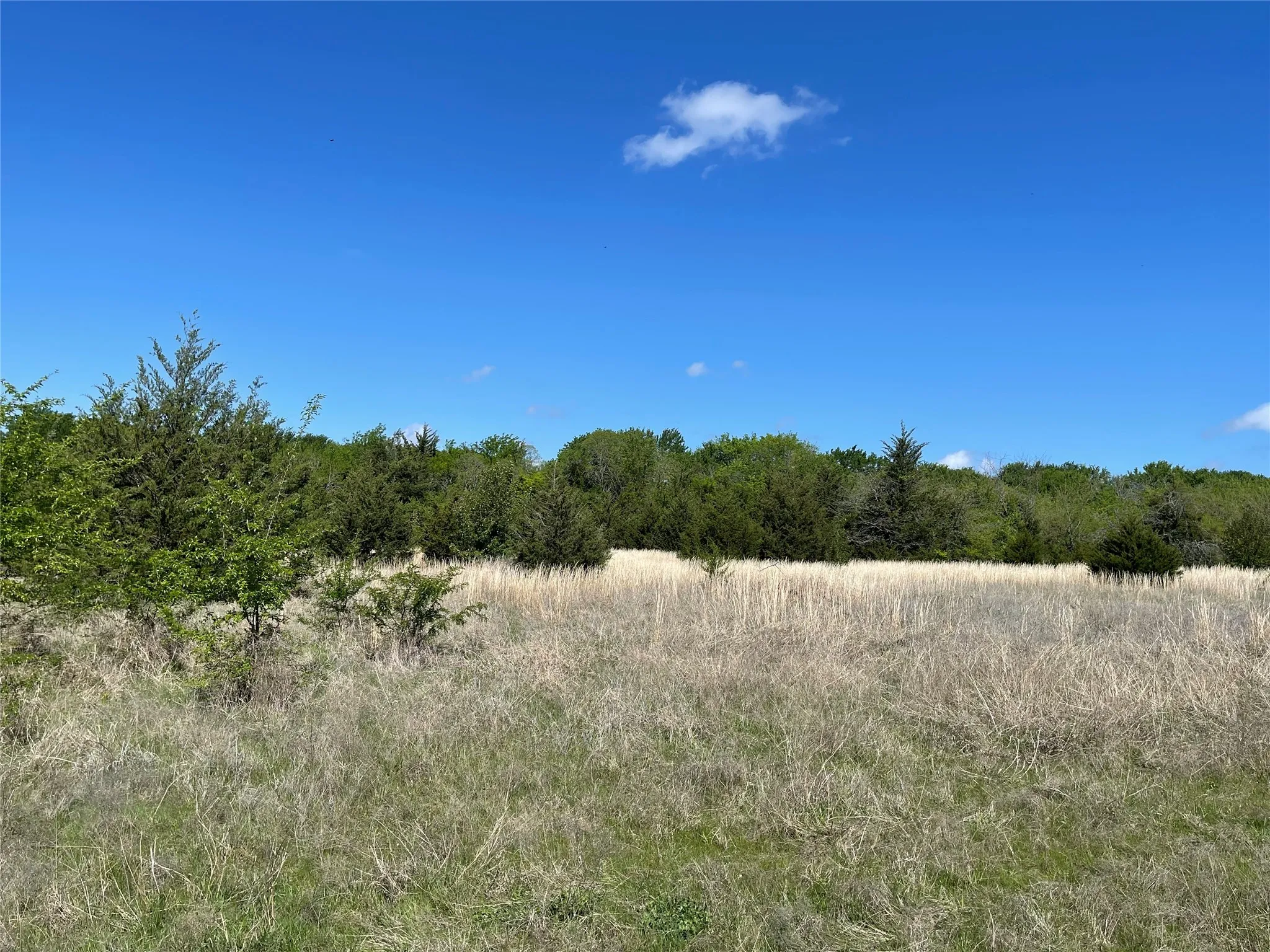Unimproved Land For Sale in Fannin County , TBD County Road 1400, Ravenna, Texas 75476, 0, 0, Garage spaces, 0 Sqft, built in 0, Price $512,000, mls#21244926, Real Estate Agent in Ravenna, Homes For Sale in Fannin county, Homes For Sale in Ravenna, Realtor in Ravenna Texas, Real Estate Brokerage Independent Realty Texas, Luminita Cordes Realtor