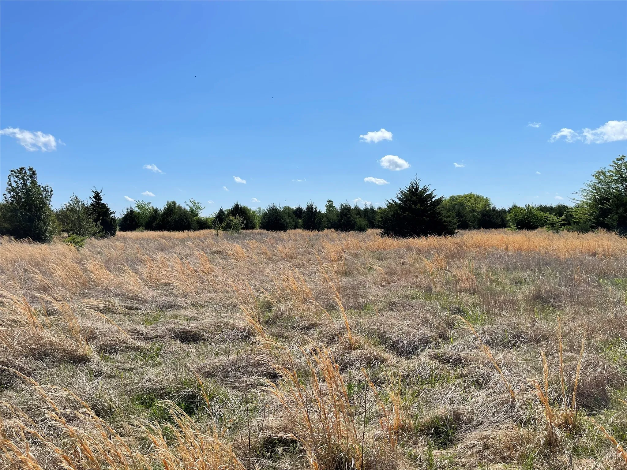 Unimproved Land For Sale in Fannin County , TBD County Road 1400, Ravenna, Texas 75476, 0, 0, Garage spaces, 0 Sqft, built in 0, Price $512,000, mls#21244926, Real Estate Agent in Ravenna, Homes For Sale in Fannin county, Homes For Sale in Ravenna, Realtor in Ravenna Texas, Real Estate Brokerage Independent Realty Texas, Luminita Cordes Realtor