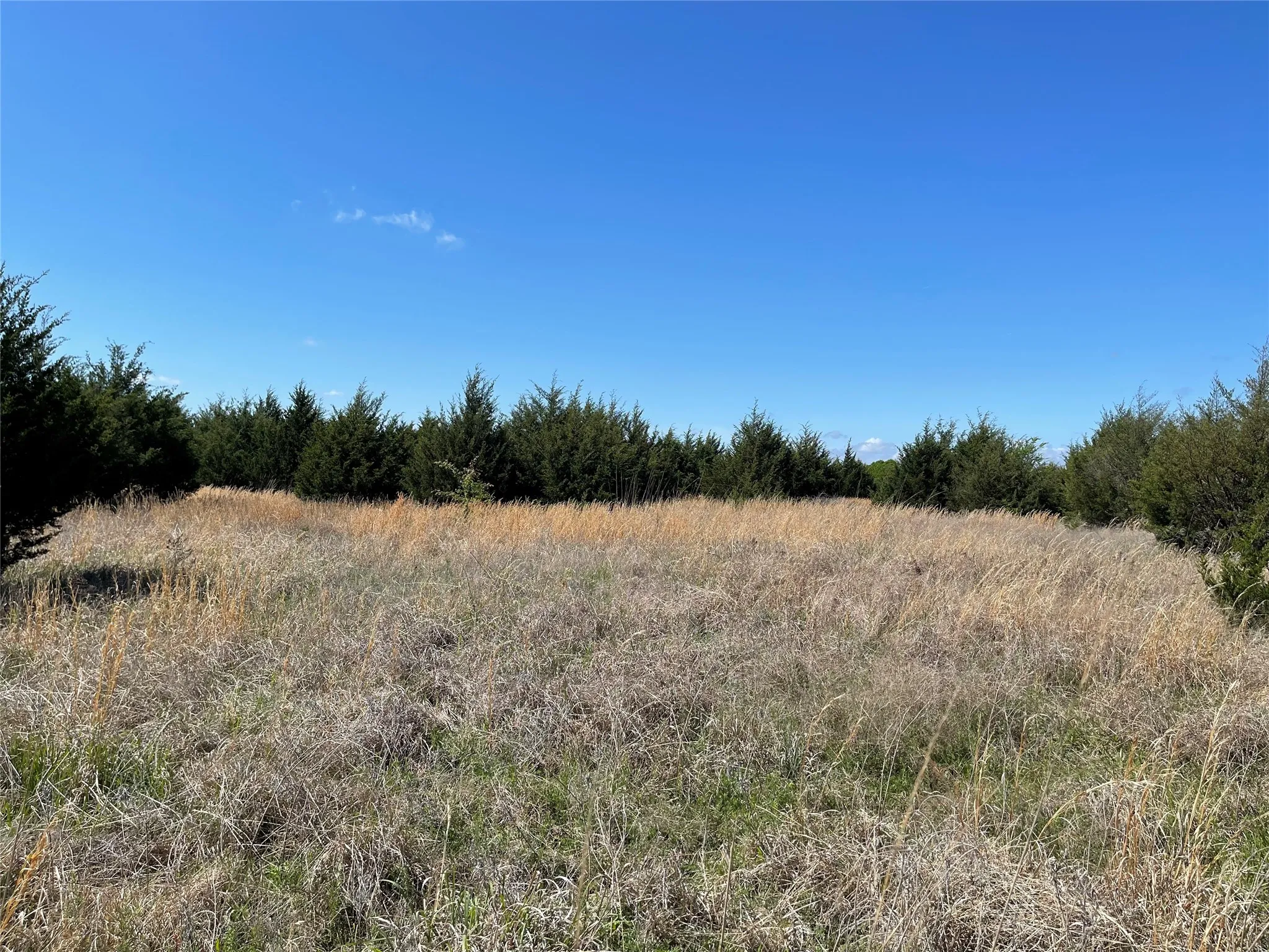 Unimproved Land For Sale in Fannin County , TBD County Road 1400, Ravenna, Texas 75476, 0, 0, Garage spaces, 0 Sqft, built in 0, Price $512,000, mls#21244926, Real Estate Agent in Ravenna, Homes For Sale in Fannin county, Homes For Sale in Ravenna, Realtor in Ravenna Texas, Real Estate Brokerage Independent Realty Texas, Luminita Cordes Realtor