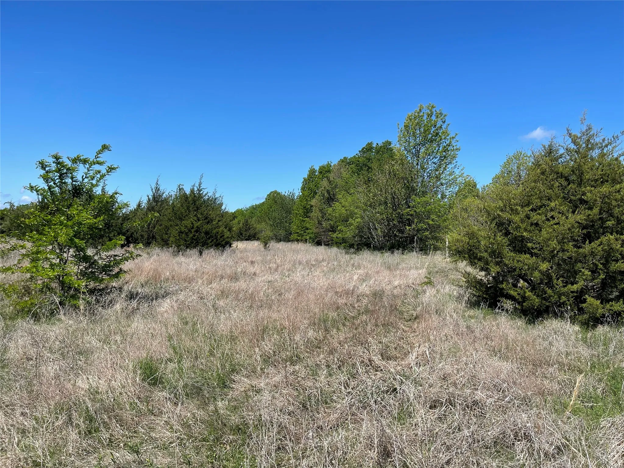 Unimproved Land For Sale in Fannin County , TBD County Road 1400, Ravenna, Texas 75476, 0, 0, Garage spaces, 0 Sqft, built in 0, Price $512,000, mls#21244926, Real Estate Agent in Ravenna, Homes For Sale in Fannin county, Homes For Sale in Ravenna, Realtor in Ravenna Texas, Real Estate Brokerage Independent Realty Texas, Luminita Cordes Realtor