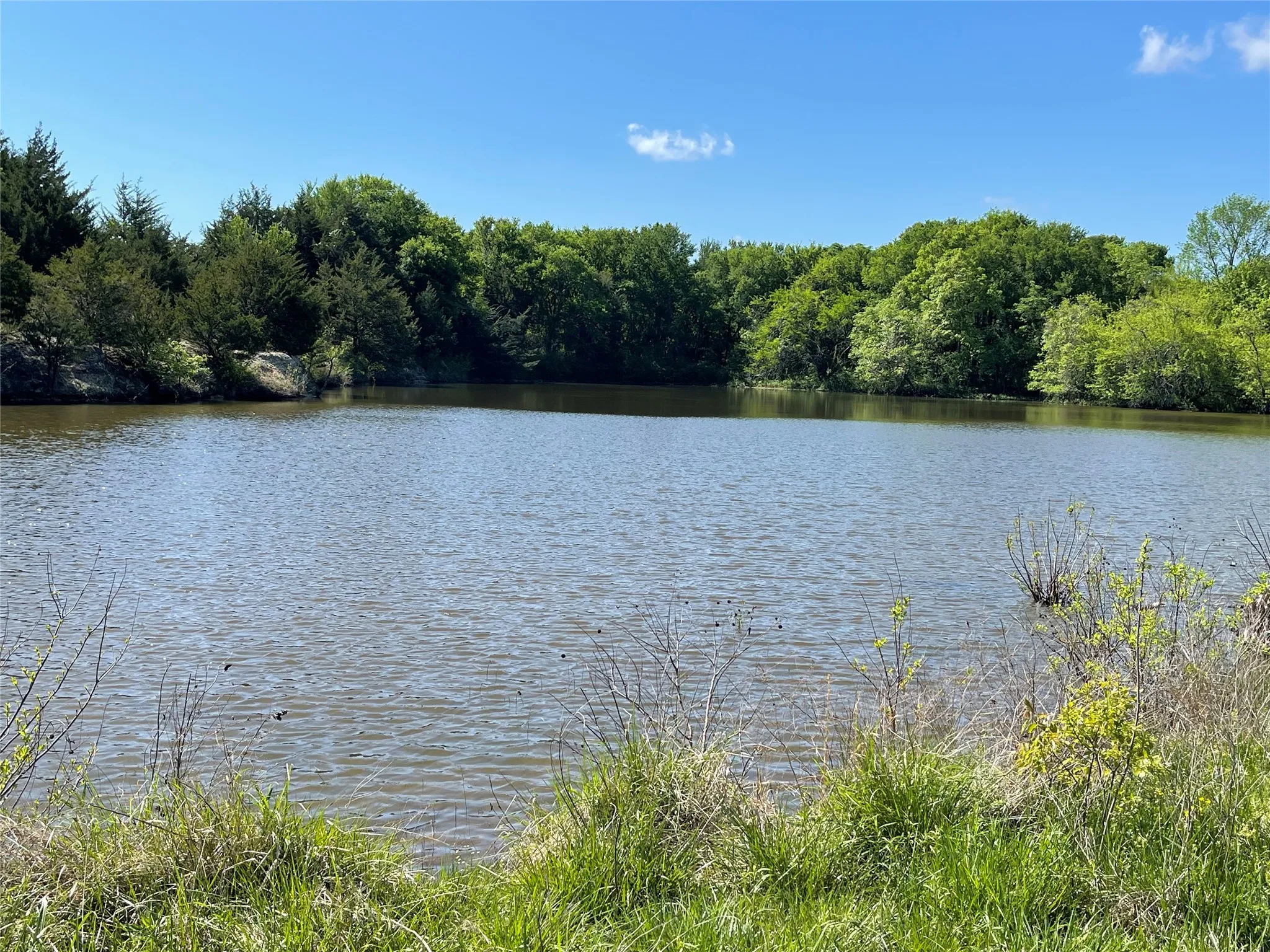 Unimproved Land For Sale in Fannin County , TBD 2 County Road 1400, Ravenna, Texas 75476, 0, 0, Garage spaces, 0 Sqft, built in 0, Price $520,000, mls#21245225, Real Estate Agent in Ravenna, Homes For Sale in Fannin county, Homes For Sale in Ravenna, Realtor in Ravenna Texas, Real Estate Brokerage Independent Realty Texas, Luminita Cordes Realtor