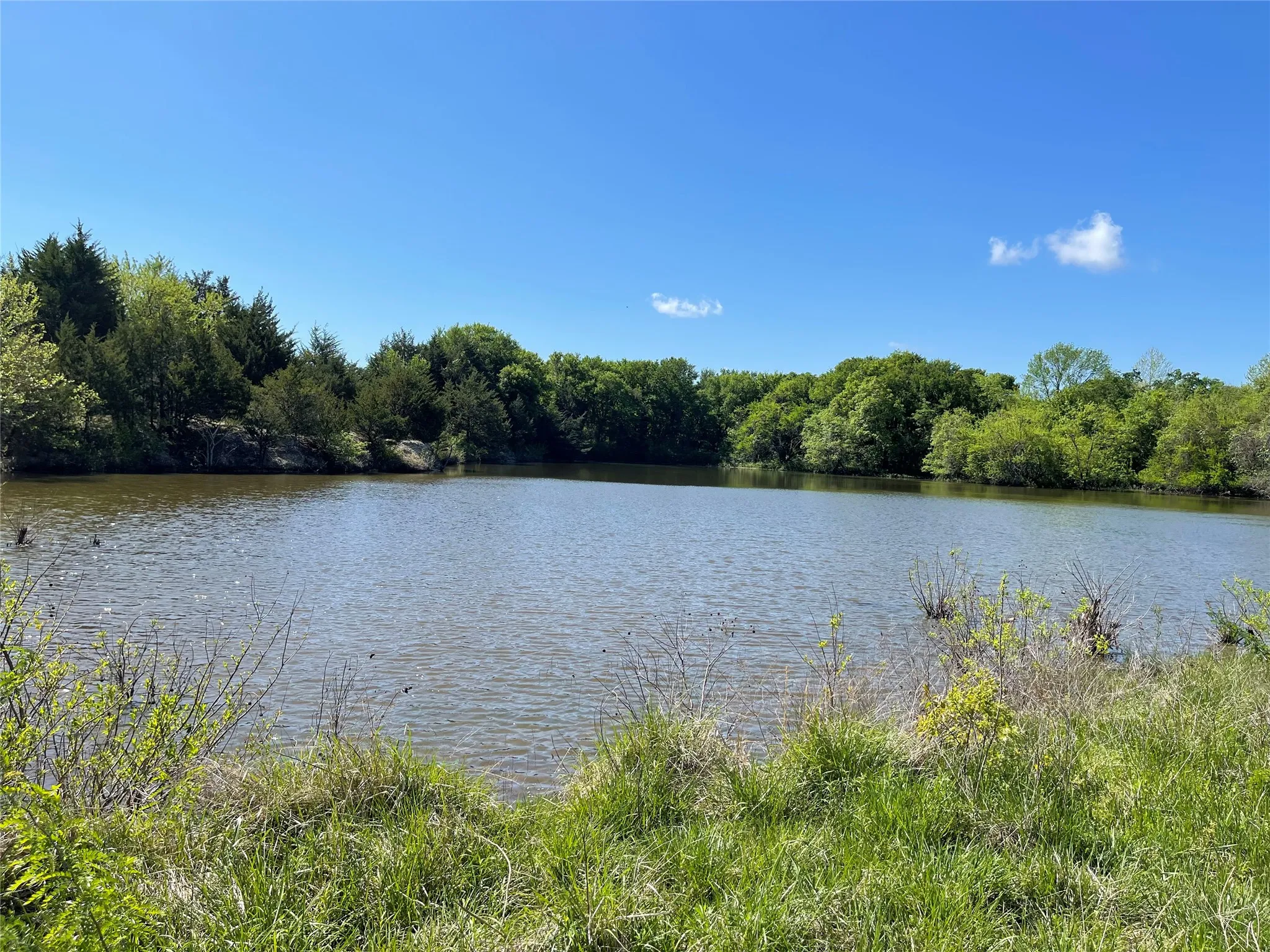 Unimproved Land For Sale in Fannin County , TBD 2 County Road 1400, Ravenna, Texas 75476, 0, 0, Garage spaces, 0 Sqft, built in 0, Price $520,000, mls#21245225, Real Estate Agent in Ravenna, Homes For Sale in Fannin county, Homes For Sale in Ravenna, Realtor in Ravenna Texas, Real Estate Brokerage Independent Realty Texas, Luminita Cordes Realtor