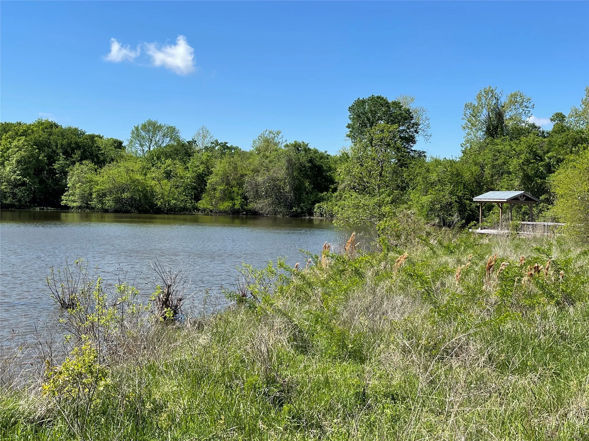Unimproved Land For Sale in Fannin County , TBD 2 County Road 1400, Ravenna, Texas 75476, 0, 0, Garage spaces, 0 Sqft, built in 0, Price $520,000, mls#21245225, Real Estate Agent in Ravenna, Homes For Sale in Fannin county, Homes For Sale in Ravenna, Realtor in Ravenna Texas, Real Estate Brokerage Independent Realty Texas, Luminita Cordes Realtor