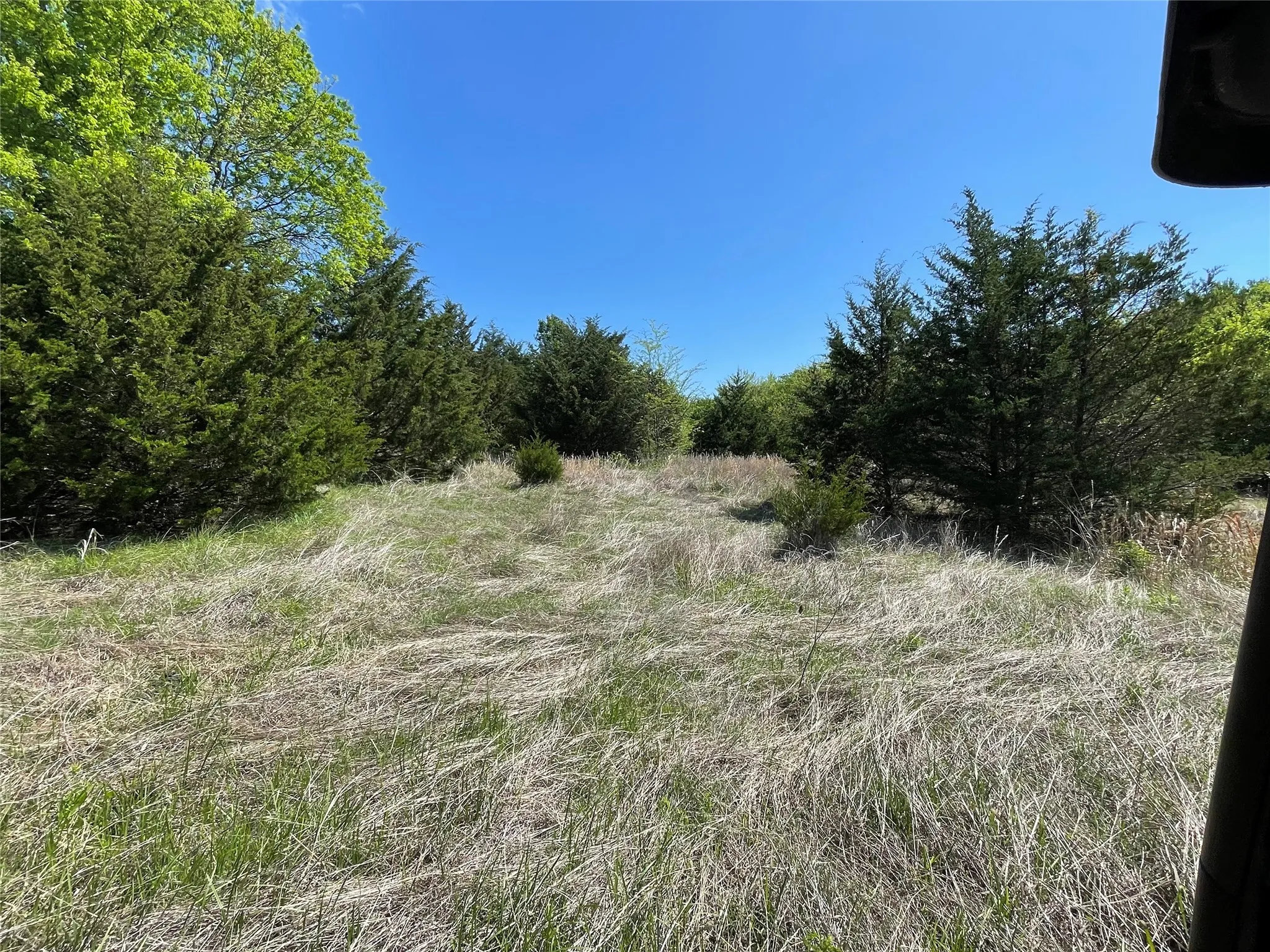 Unimproved Land For Sale in Fannin County , TBD 2 County Road 1400, Ravenna, Texas 75476, 0, 0, Garage spaces, 0 Sqft, built in 0, Price $520,000, mls#21245225, Real Estate Agent in Ravenna, Homes For Sale in Fannin county, Homes For Sale in Ravenna, Realtor in Ravenna Texas, Real Estate Brokerage Independent Realty Texas, Luminita Cordes Realtor
