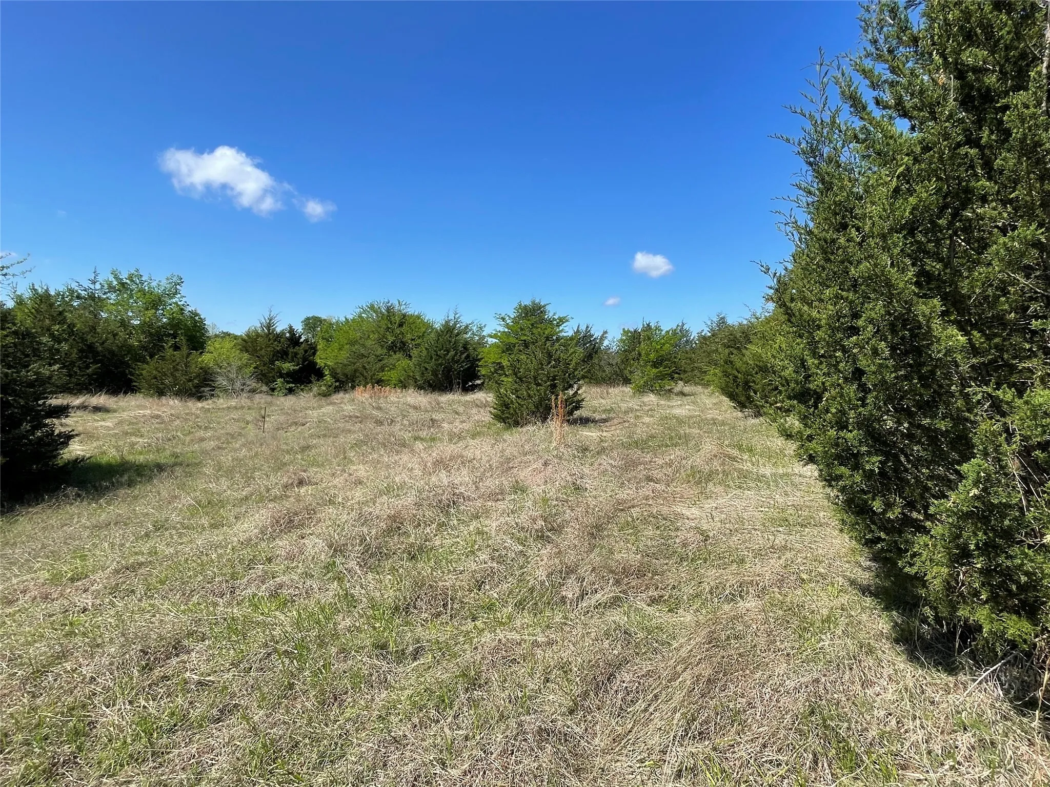 Unimproved Land For Sale in Fannin County , TBD 2 County Road 1400, Ravenna, Texas 75476, 0, 0, Garage spaces, 0 Sqft, built in 0, Price $520,000, mls#21245225, Real Estate Agent in Ravenna, Homes For Sale in Fannin county, Homes For Sale in Ravenna, Realtor in Ravenna Texas, Real Estate Brokerage Independent Realty Texas, Luminita Cordes Realtor