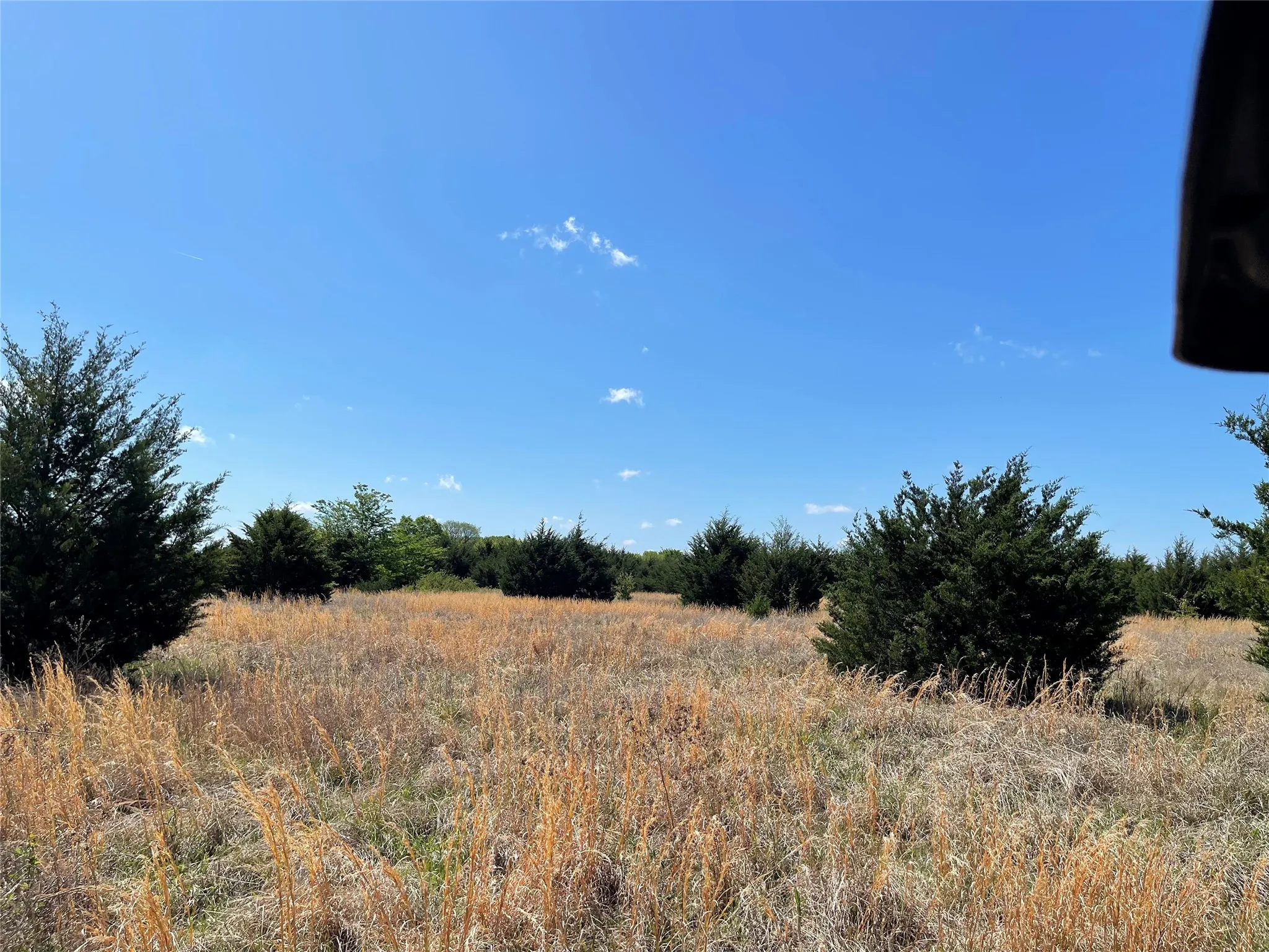 Unimproved Land For Sale in Fannin County , TBD 2 County Road 1400, Ravenna, Texas 75476, 0, 0, Garage spaces, 0 Sqft, built in 0, Price $520,000, mls#21245225, Real Estate Agent in Ravenna, Homes For Sale in Fannin county, Homes For Sale in Ravenna, Realtor in Ravenna Texas, Real Estate Brokerage Independent Realty Texas, Luminita Cordes Realtor
