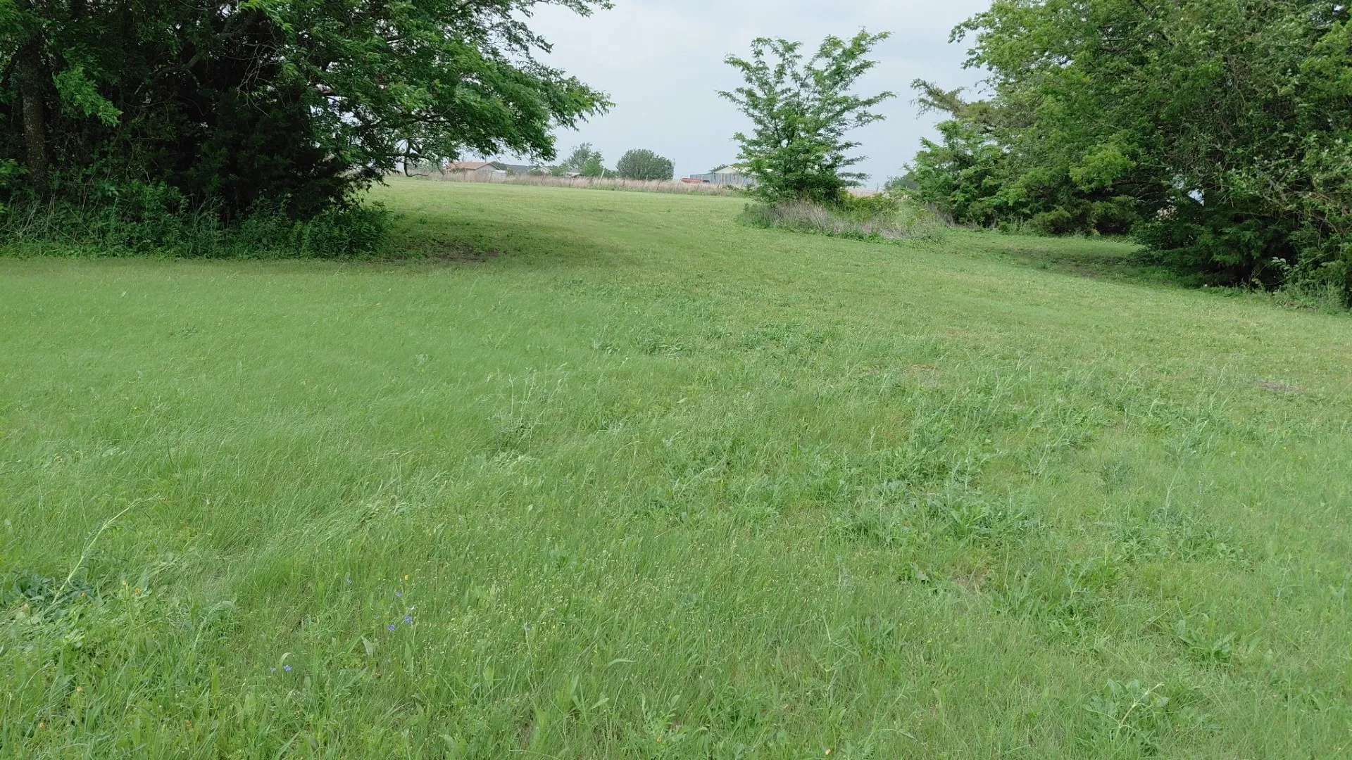 Mobile Home For Sale in Collin County , 6141 County Road 593, Nevada, Texas 75173, 4 Bedroom, 2 Bathroom, Garage spaces, 2,432 Sqft, built in 2007, mls#21241765, Real Estate Agent in Nevada, Homes For Sale in Collin county, Homes For Sale in Nevada, Realtor in Nevada Texas, Real Estate Brokerage Independent Realty Texas, Luminita Cordes Realtor