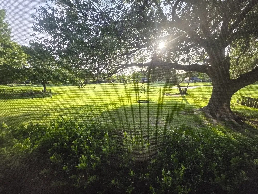 Single Family Residence For Rent in Tarrant County , 1315 Spyglass Drive, Mansfield, Texas 76063, 3 Bedroom, 3 Bathroom, 2 Garage spaces, 2,254 Sqft, built in 1988, mls#21243677, Real Estate Agent in Mansfield, Homes For Rent in Tarrant county, Homes For Rent in Mansfield, Realtor in Mansfield Texas, Real Estate Brokerage Independent Realty Texas, Luminita Cordes Realtor