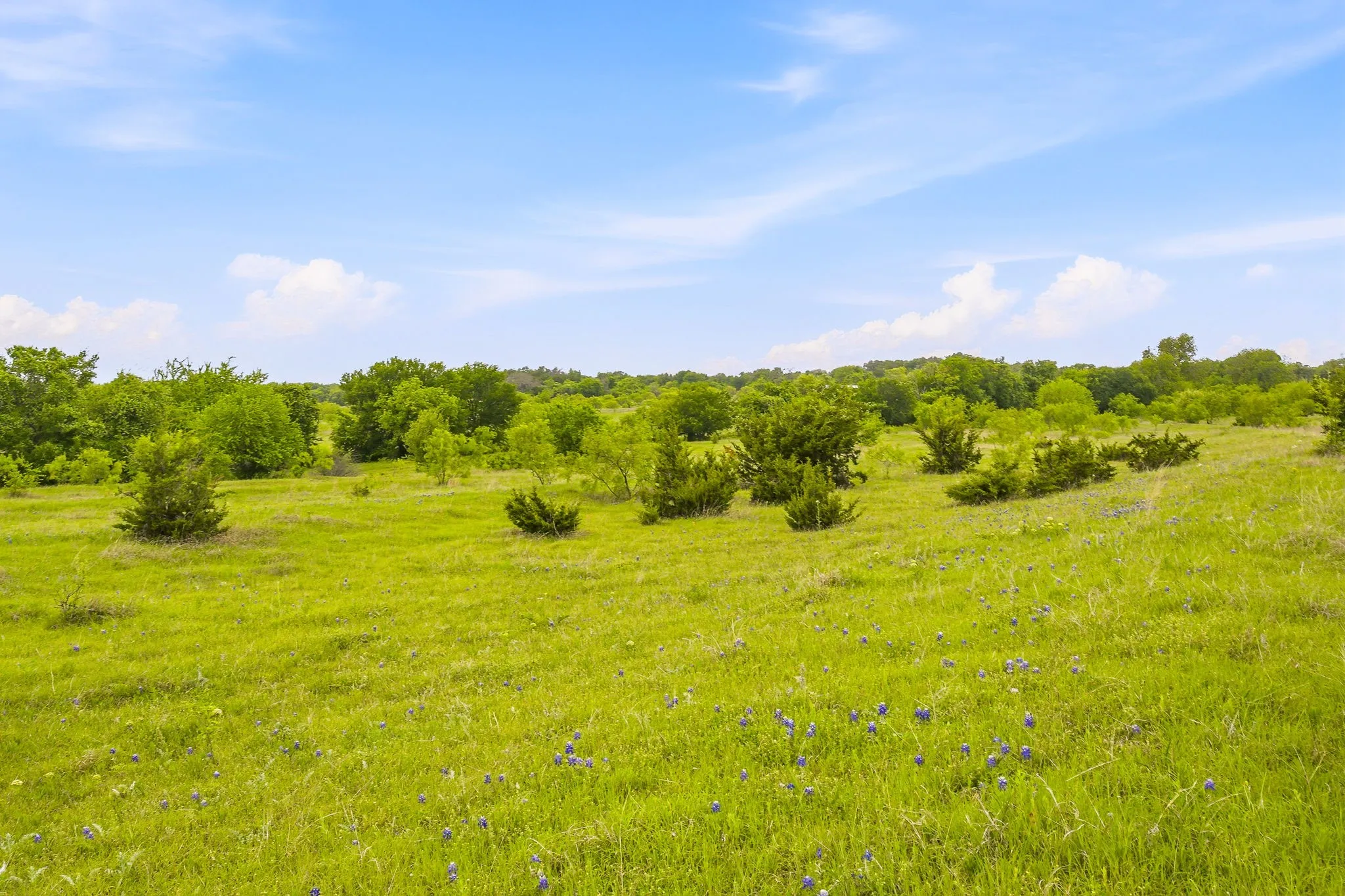 Farm For Sale in Parker County , 4823 Airport Road, Aledo, Texas 76008, 3 Bedroom, 2 Bathroom, 2 Garage spaces, 2,595 Sqft, built in 1996, Price $13,863,600, mls#21244767, Real Estate Agent in Aledo, Homes For Sale in Parker county, Homes For Sale in Aledo, Realtor in Aledo Texas, Real Estate Brokerage Independent Realty Texas, Luminita Cordes Realtor