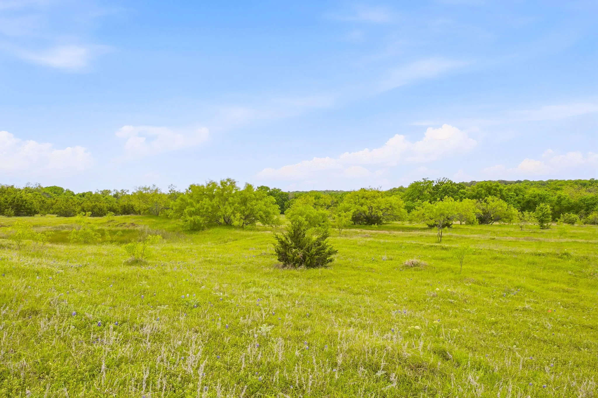 Farm For Sale in Parker County , 4823 Airport Road, Aledo, Texas 76008, 3 Bedroom, 2 Bathroom, 2 Garage spaces, 2,595 Sqft, built in 1996, Price $13,863,600, mls#21244767, Real Estate Agent in Aledo, Homes For Sale in Parker county, Homes For Sale in Aledo, Realtor in Aledo Texas, Real Estate Brokerage Independent Realty Texas, Luminita Cordes Realtor