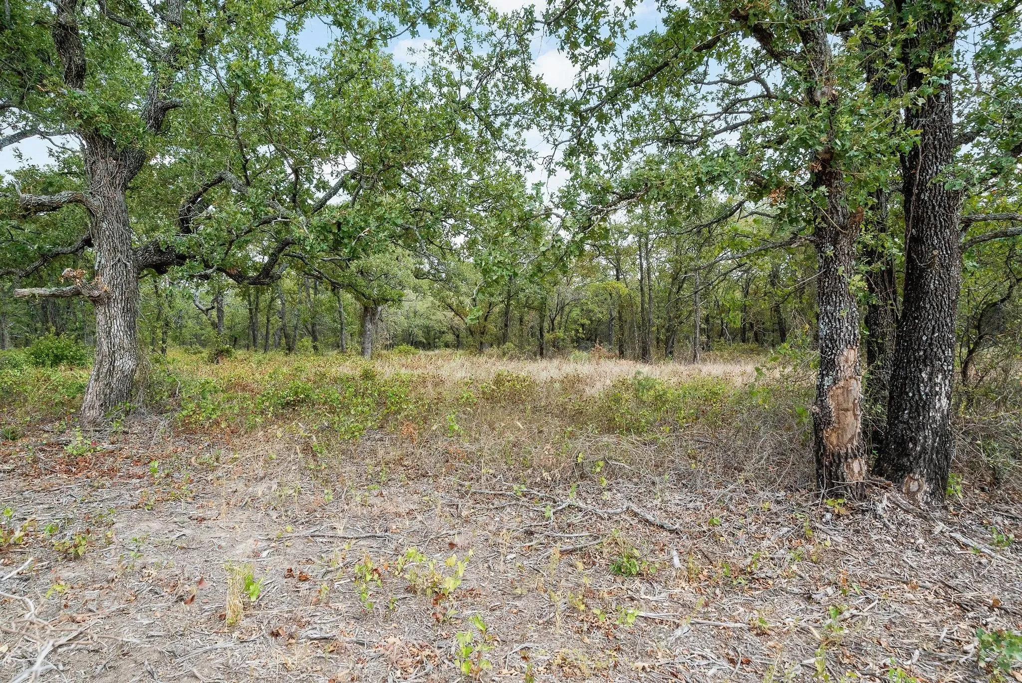 Unimproved Land For Sale in Jack County , Lot 13 Double B Ranch Road S, Perrin, Texas 76486, 0, 0, Garage spaces, 0 Sqft, built in 0, mls#21246282, Real Estate Agent in Perrin, Homes For Sale in Jack county, Homes For Sale in Perrin, Realtor in Perrin Texas, Real Estate Brokerage Independent Realty Texas, Luminita Cordes Realtor