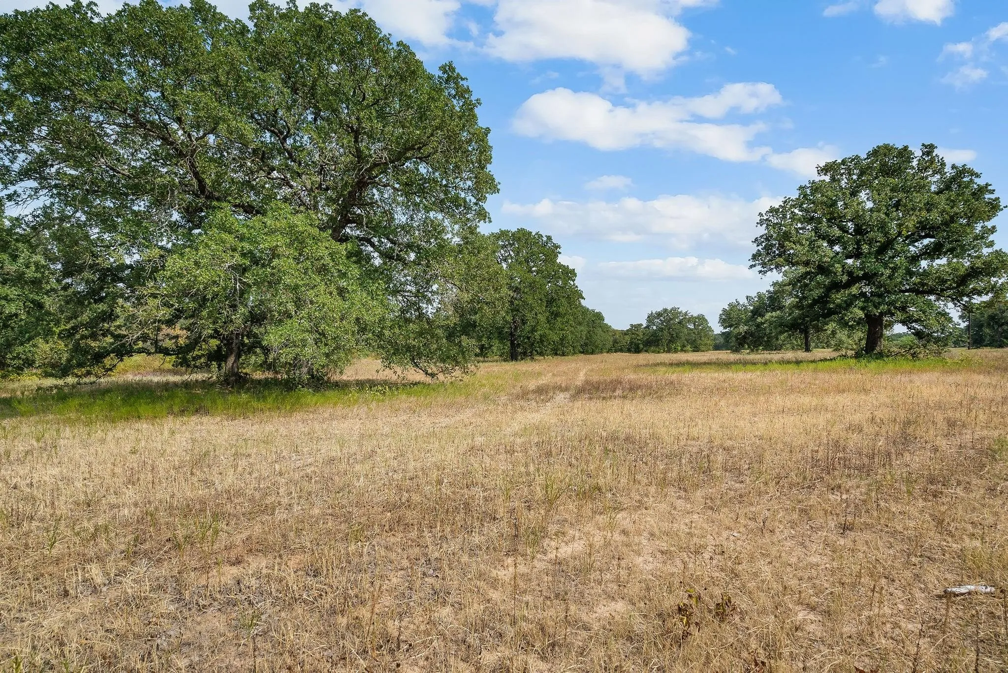 Unimproved Land For Sale in Jack County , Lot 13 Double B Ranch Road S, Perrin, Texas 76486, 0, 0, Garage spaces, 0 Sqft, built in 0, mls#21246282, Real Estate Agent in Perrin, Homes For Sale in Jack county, Homes For Sale in Perrin, Realtor in Perrin Texas, Real Estate Brokerage Independent Realty Texas, Luminita Cordes Realtor