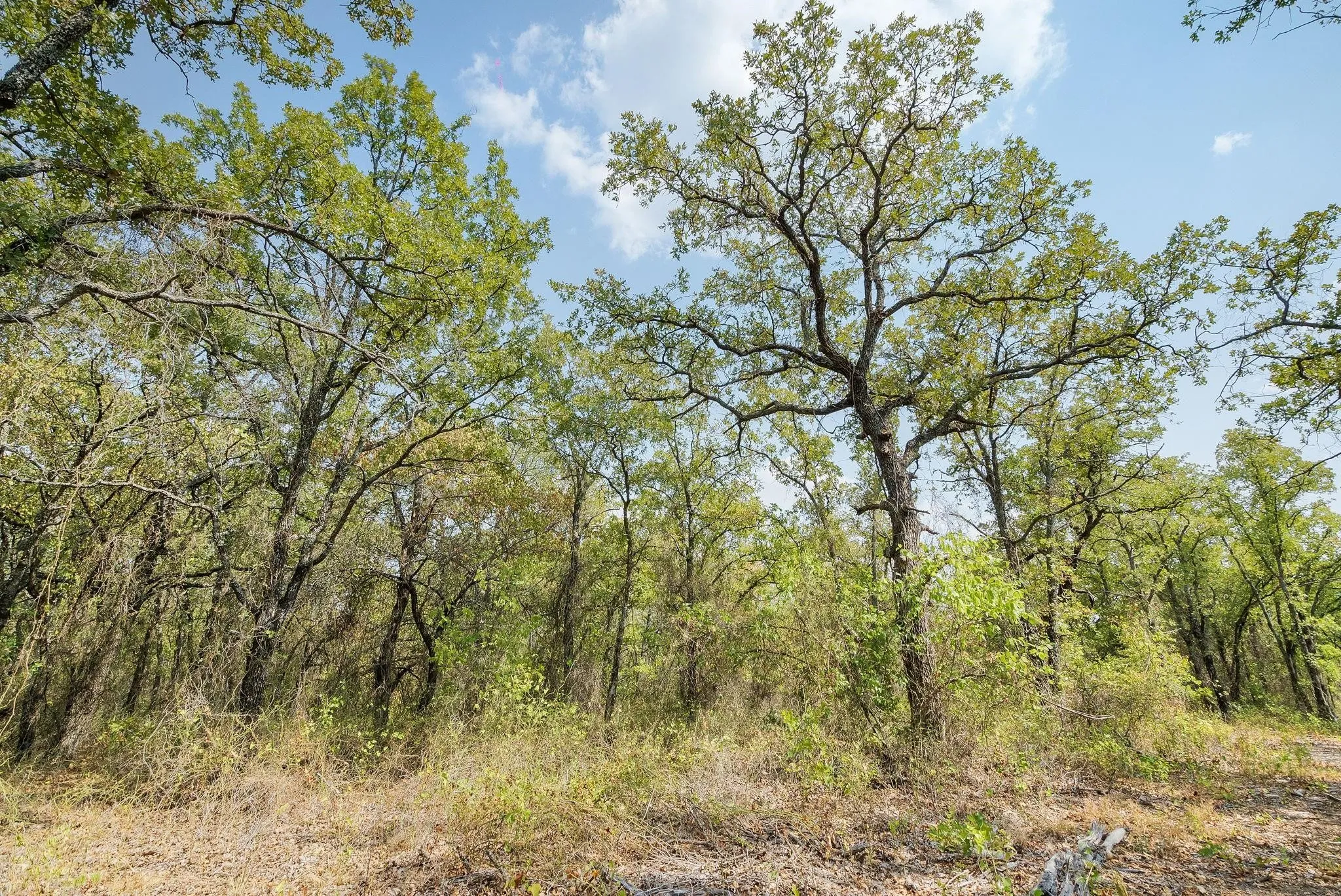 Unimproved Land For Sale in Jack County , Lot 13 Double B Ranch Road S, Perrin, Texas 76486, 0, 0, Garage spaces, 0 Sqft, built in 0, mls#21246282, Real Estate Agent in Perrin, Homes For Sale in Jack county, Homes For Sale in Perrin, Realtor in Perrin Texas, Real Estate Brokerage Independent Realty Texas, Luminita Cordes Realtor