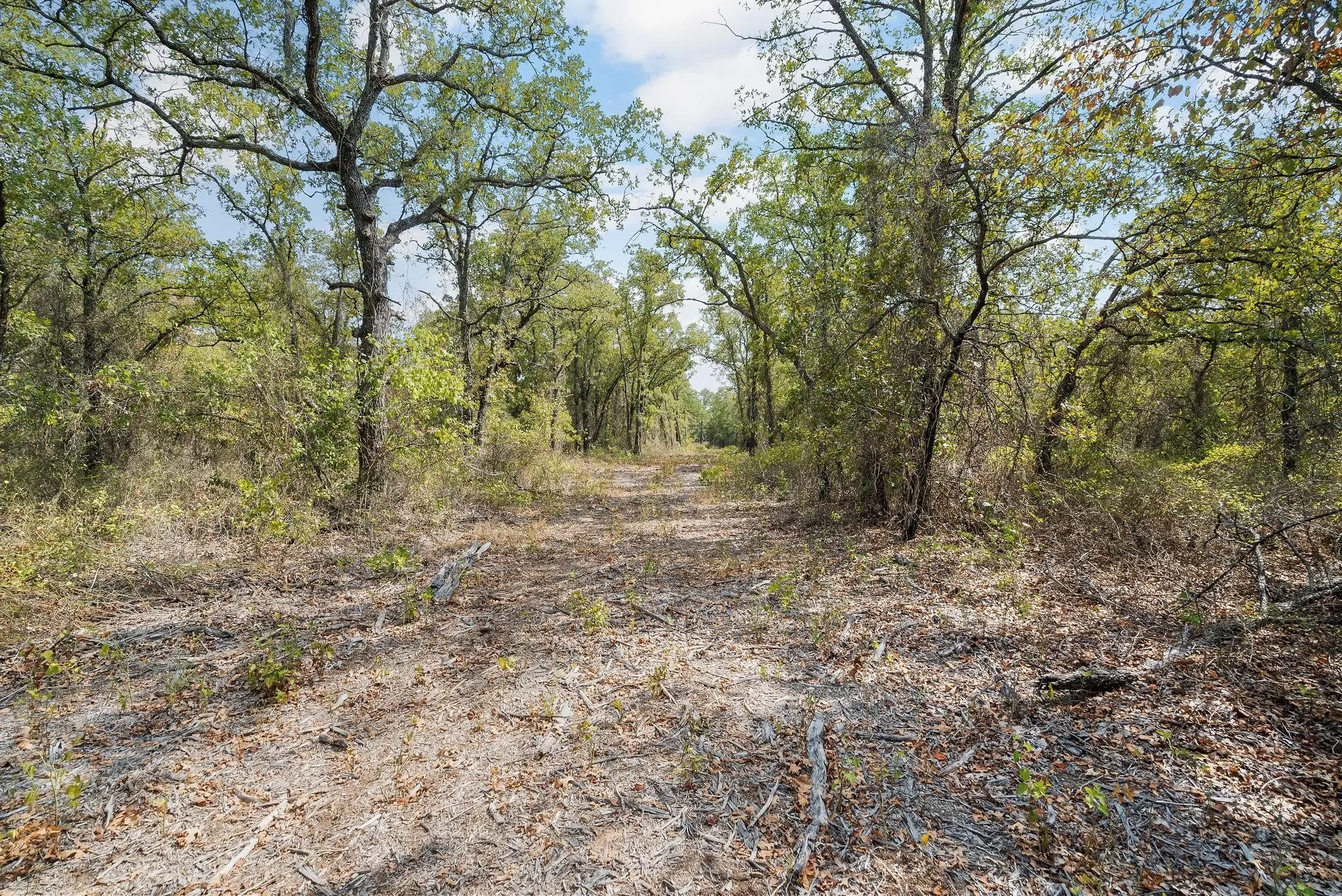 Unimproved Land For Sale in Jack County , Lot 13 Double B Ranch Road S, Perrin, Texas 76486, 0, 0, Garage spaces, 0 Sqft, built in 0, mls#21246282, Real Estate Agent in Perrin, Homes For Sale in Jack county, Homes For Sale in Perrin, Realtor in Perrin Texas, Real Estate Brokerage Independent Realty Texas, Luminita Cordes Realtor