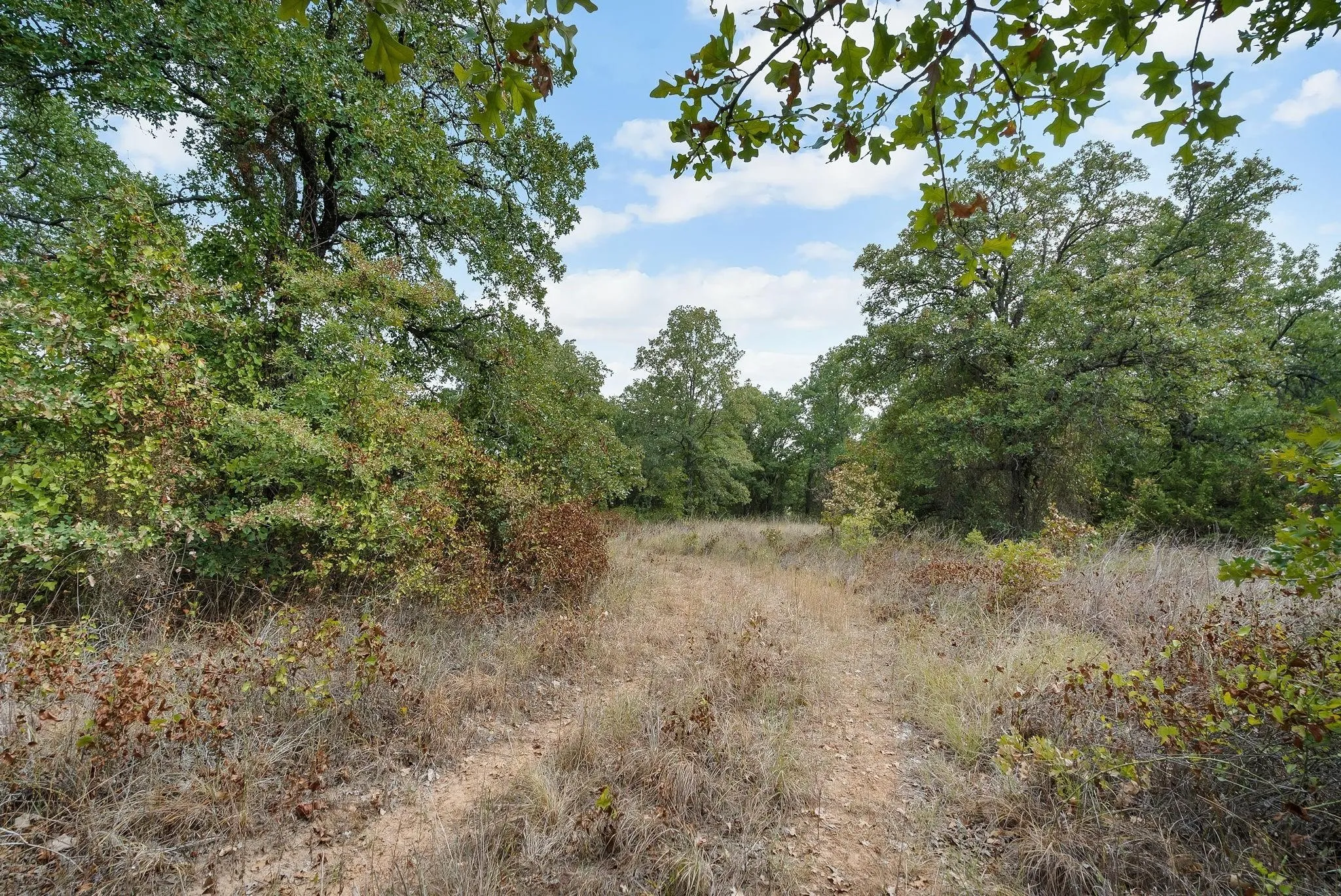 Unimproved Land For Sale in Jack County , Lot 13 Double B Ranch Road S, Perrin, Texas 76486, 0, 0, Garage spaces, 0 Sqft, built in 0, mls#21246282, Real Estate Agent in Perrin, Homes For Sale in Jack county, Homes For Sale in Perrin, Realtor in Perrin Texas, Real Estate Brokerage Independent Realty Texas, Luminita Cordes Realtor