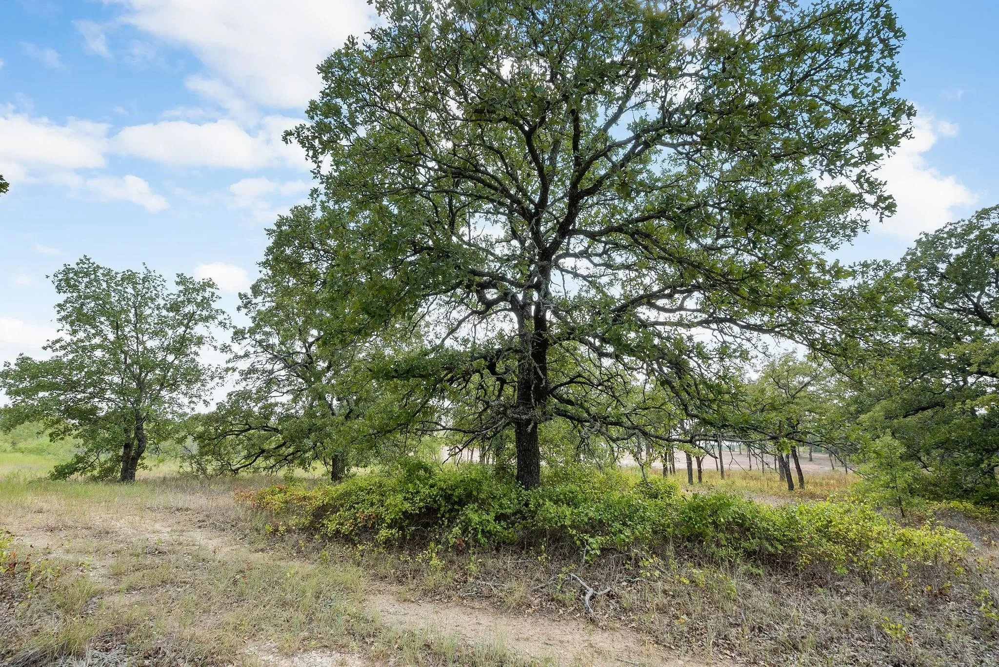 Unimproved Land For Sale in Jack County , Lot 13 Double B Ranch Road S, Perrin, Texas 76486, 0, 0, Garage spaces, 0 Sqft, built in 0, mls#21246282, Real Estate Agent in Perrin, Homes For Sale in Jack county, Homes For Sale in Perrin, Realtor in Perrin Texas, Real Estate Brokerage Independent Realty Texas, Luminita Cordes Realtor