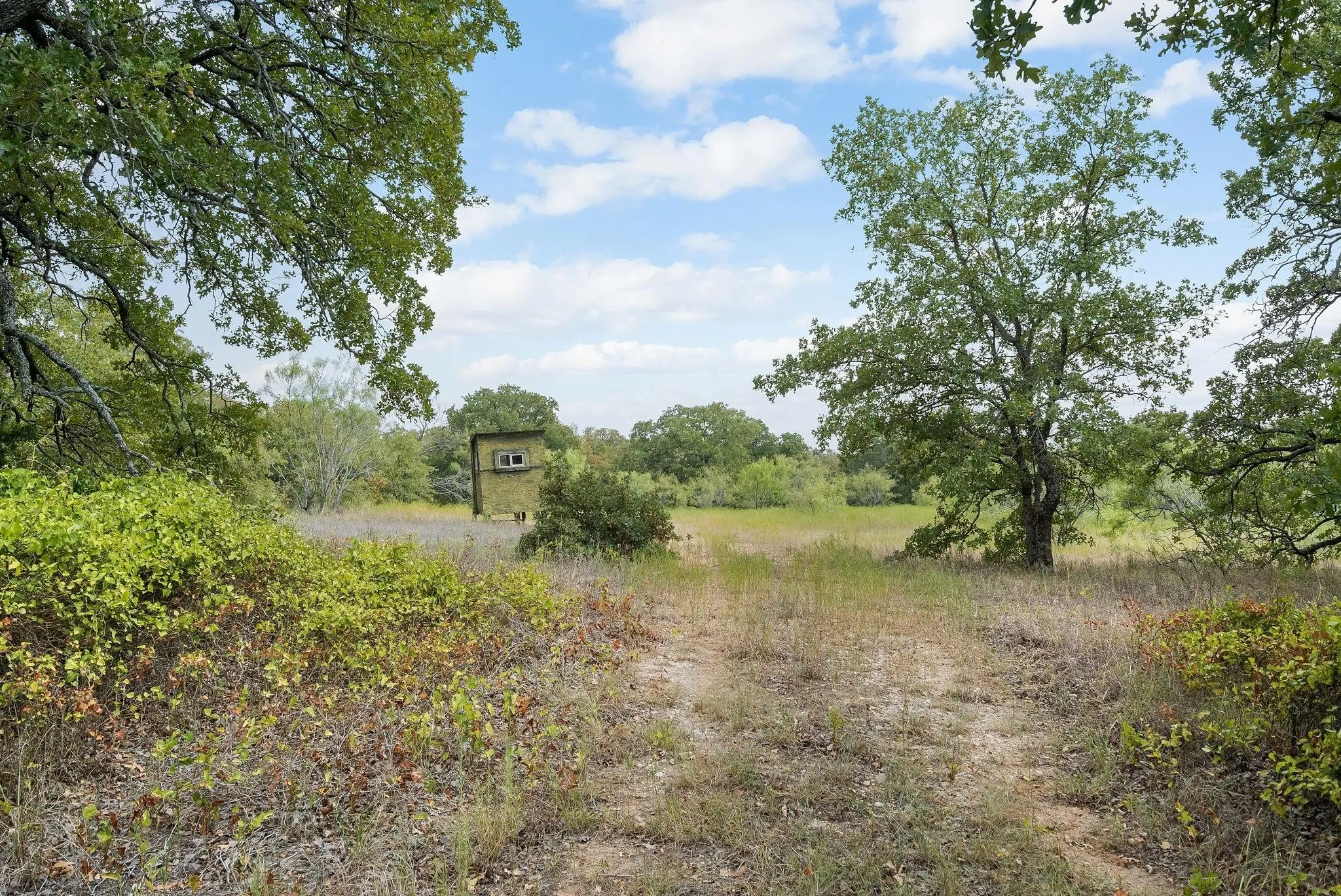 Unimproved Land For Sale in Jack County , Lot 13 Double B Ranch Road S, Perrin, Texas 76486, 0, 0, Garage spaces, 0 Sqft, built in 0, mls#21246282, Real Estate Agent in Perrin, Homes For Sale in Jack county, Homes For Sale in Perrin, Realtor in Perrin Texas, Real Estate Brokerage Independent Realty Texas, Luminita Cordes Realtor