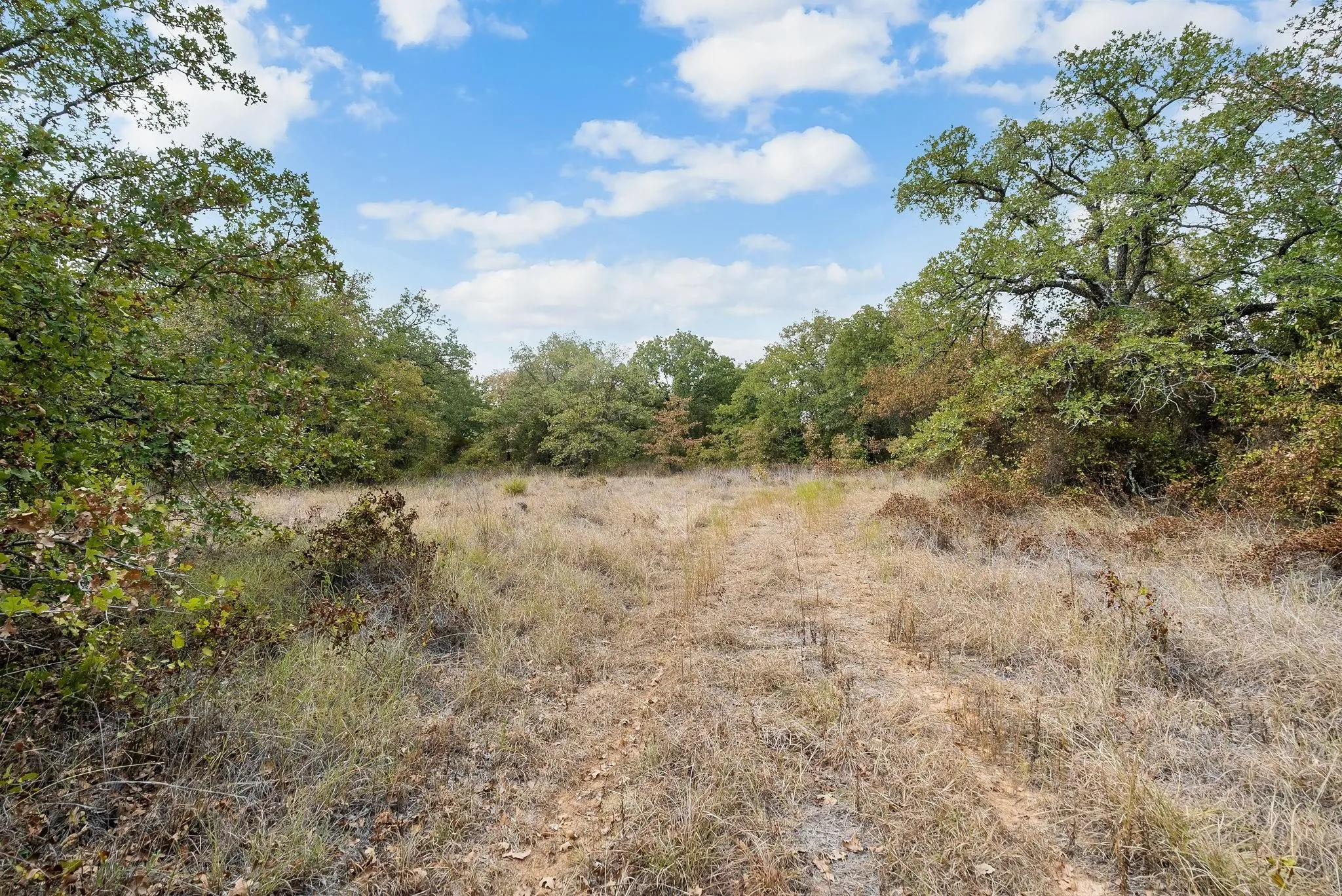 Unimproved Land For Sale in Jack County , Lot 13 Double B Ranch Road S, Perrin, Texas 76486, 0, 0, Garage spaces, 0 Sqft, built in 0, mls#21246282, Real Estate Agent in Perrin, Homes For Sale in Jack county, Homes For Sale in Perrin, Realtor in Perrin Texas, Real Estate Brokerage Independent Realty Texas, Luminita Cordes Realtor