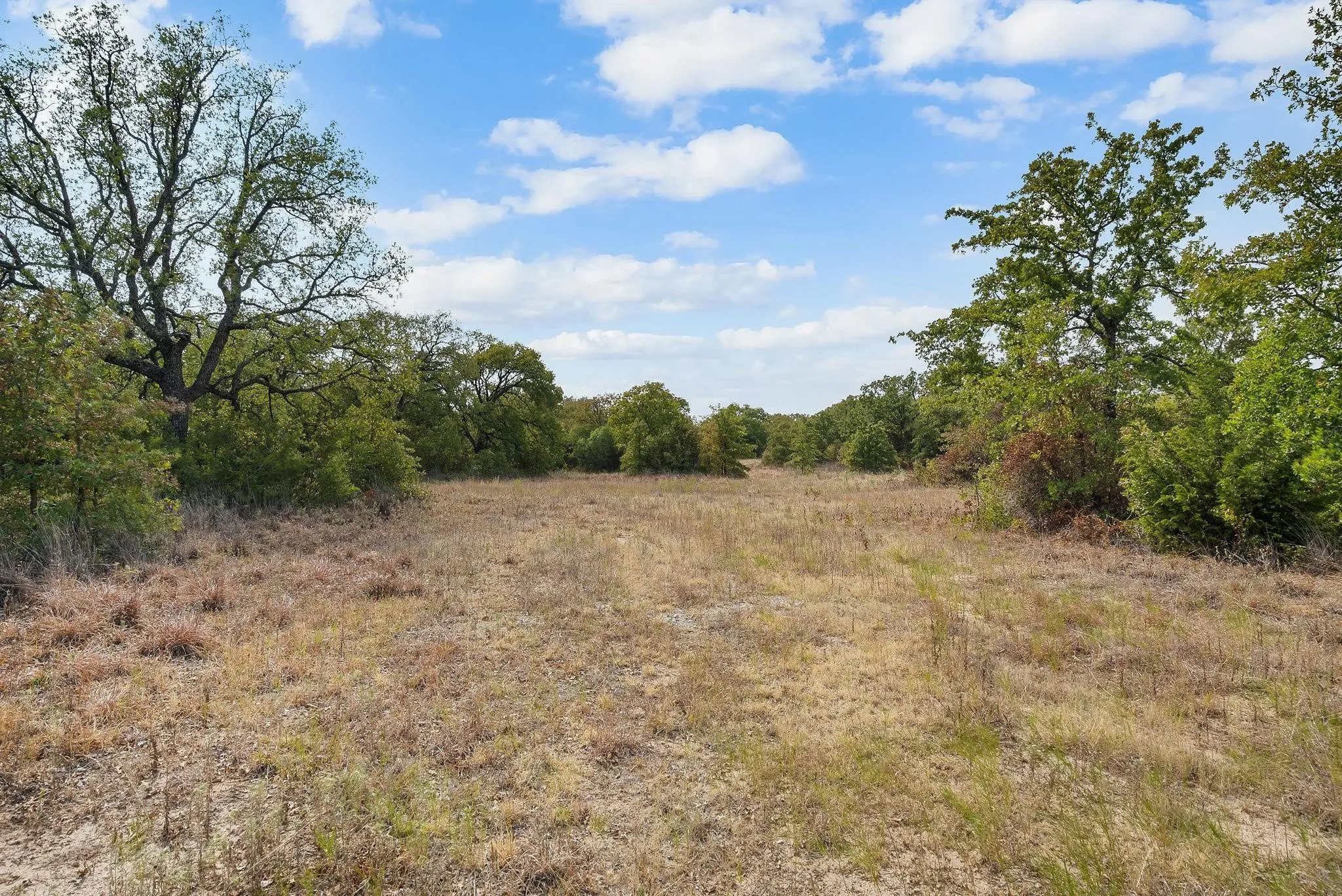 Unimproved Land For Sale in Jack County , Lot 15 Double B Ranch Road S, Perrin, Texas 76486, 0, 0, Garage spaces, 0 Sqft, built in 0, mls#21246299, Real Estate Agent in Perrin, Homes For Sale in Jack county, Homes For Sale in Perrin, Realtor in Perrin Texas, Real Estate Brokerage Independent Realty Texas, Luminita Cordes Realtor