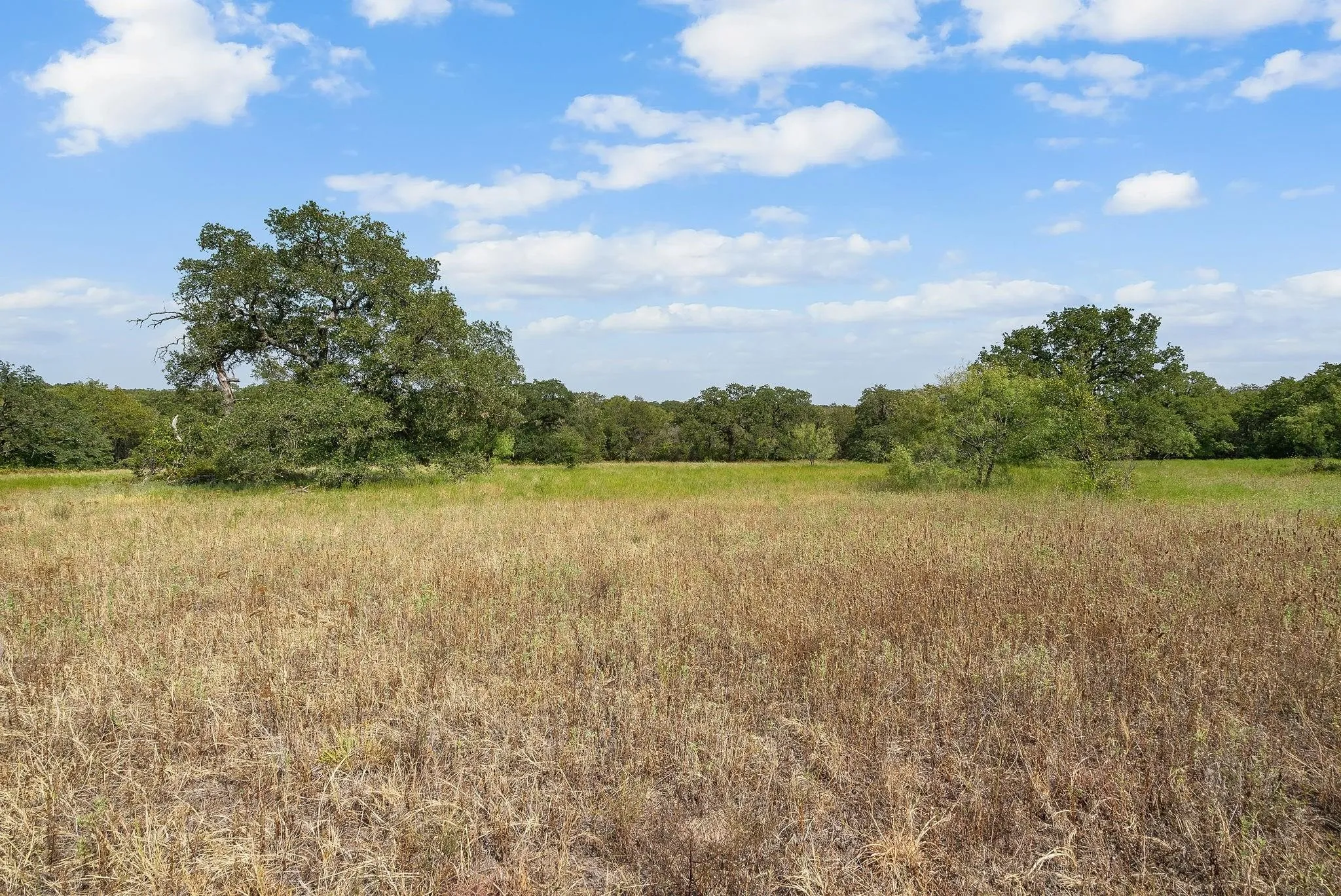 Unimproved Land For Sale in Jack County , Lot 15 Double B Ranch Road S, Perrin, Texas 76486, 0, 0, Garage spaces, 0 Sqft, built in 0, mls#21246299, Real Estate Agent in Perrin, Homes For Sale in Jack county, Homes For Sale in Perrin, Realtor in Perrin Texas, Real Estate Brokerage Independent Realty Texas, Luminita Cordes Realtor