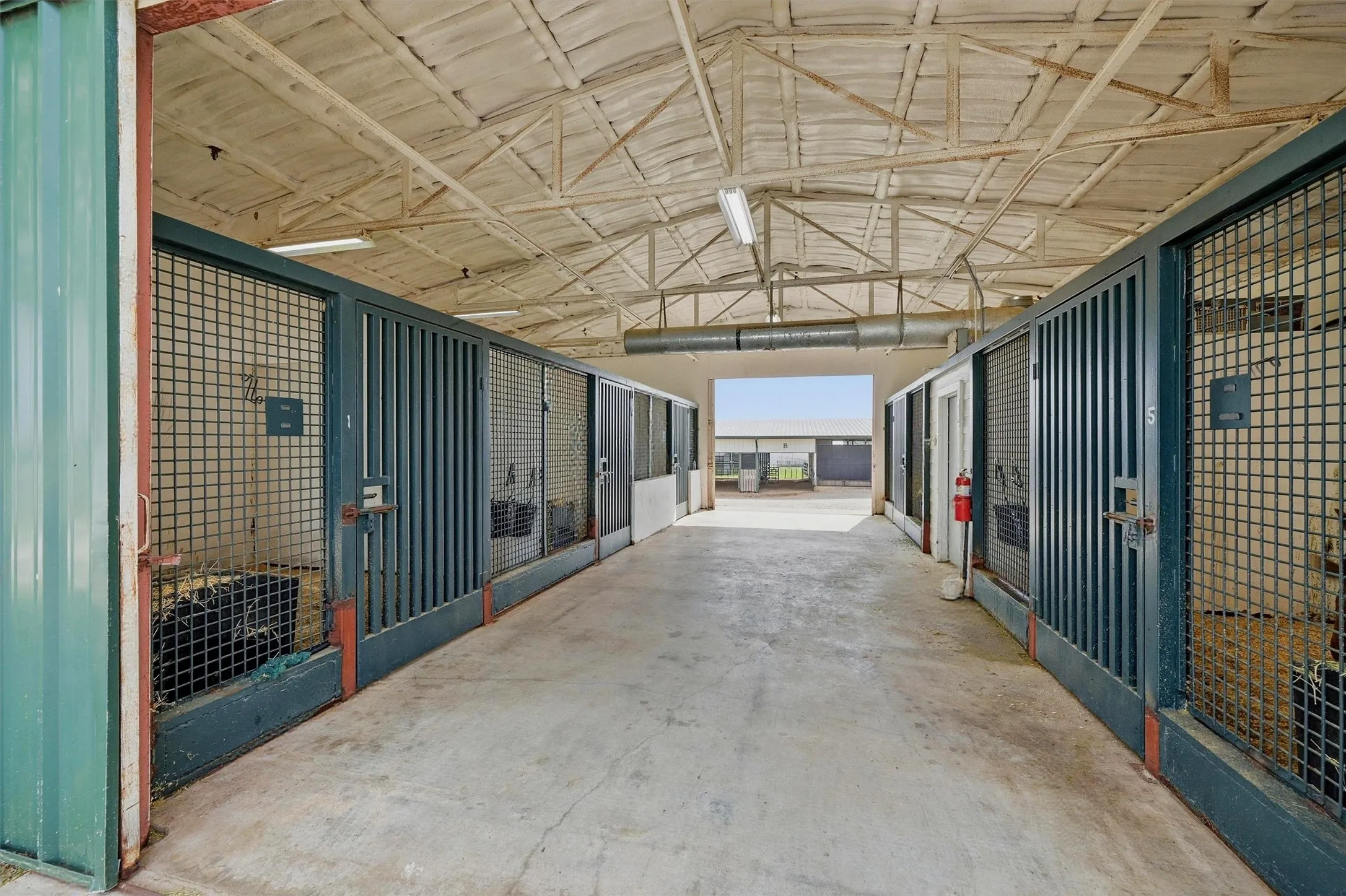 View of 5-stall barn interior aisle and stalls
