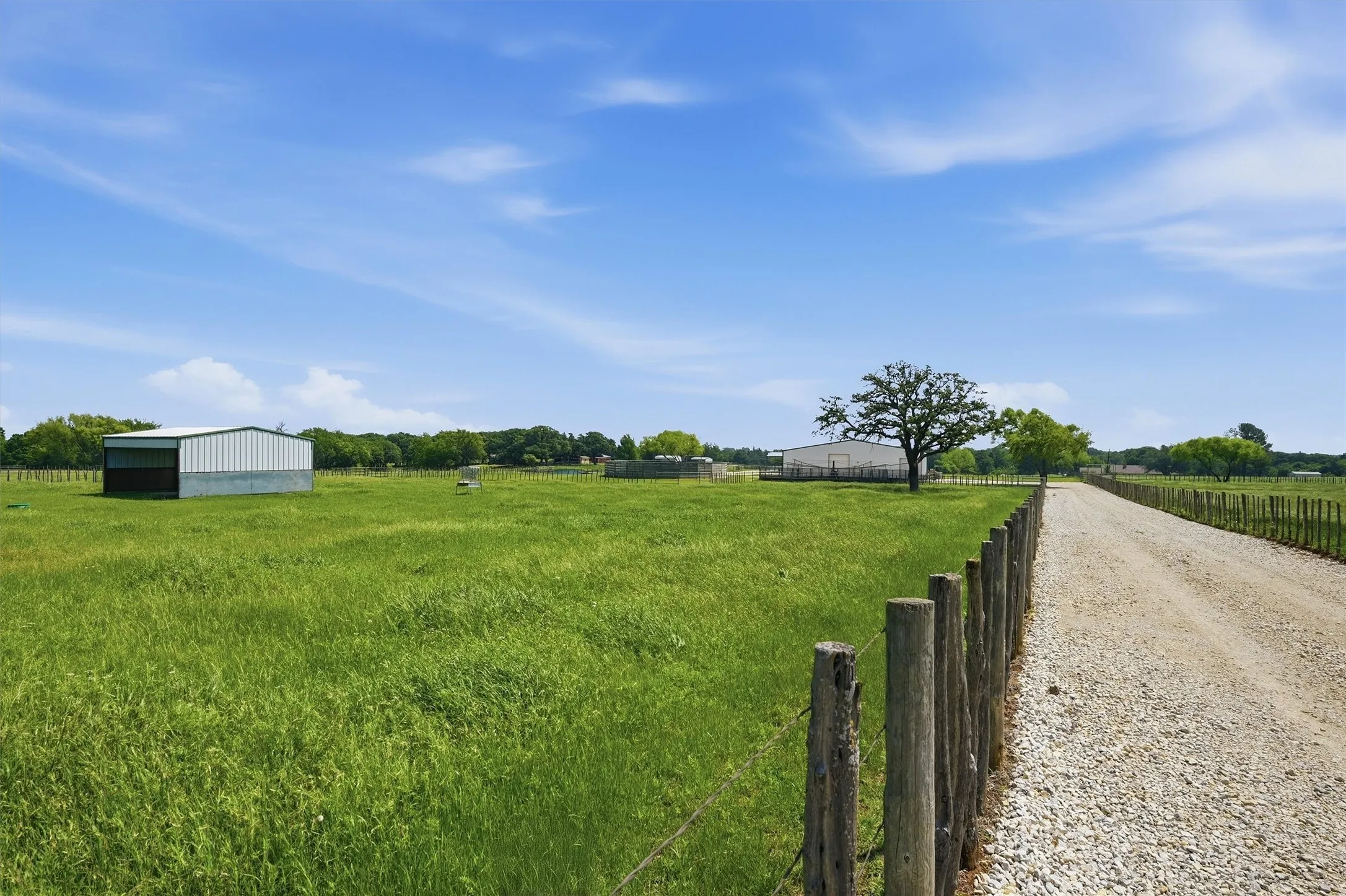 Road/alley leading to the Arena Barn and lab has turn out pastures on each side with lush coastal grass