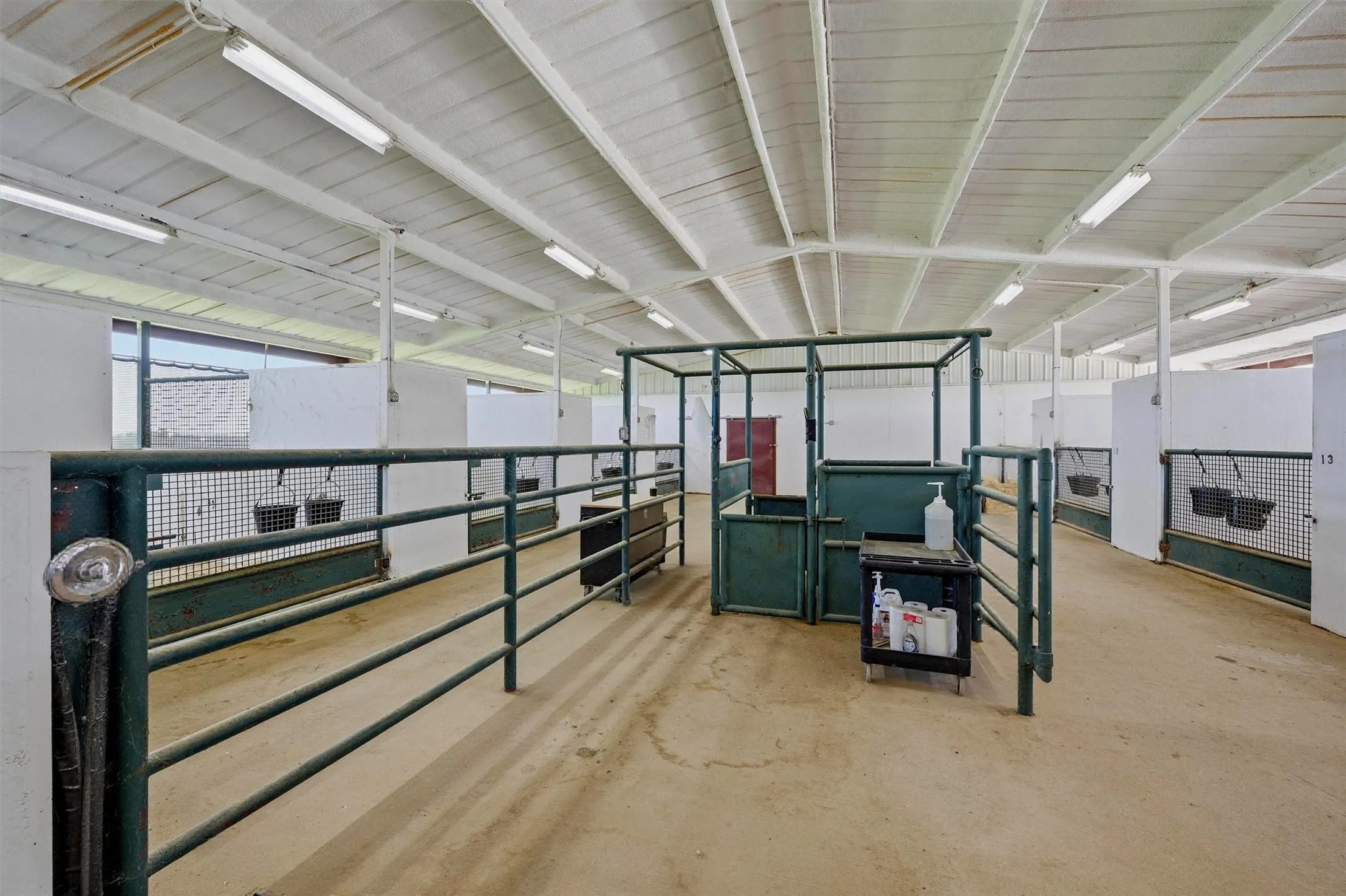 Interior view of Mare Motel - Breeding Hub