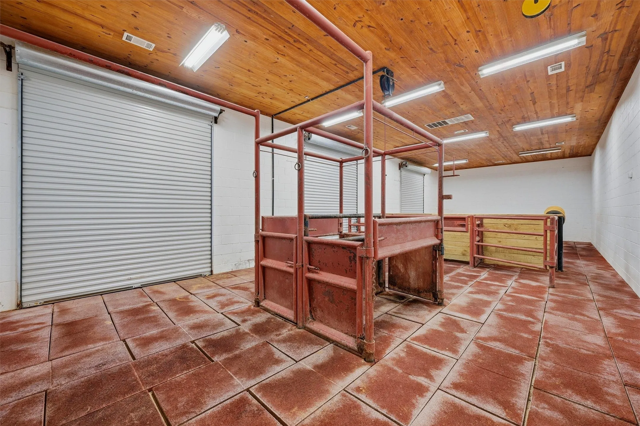Arena Barn-Breeding Lab breeding area has multiple vet stocks and roll up doors for convenient loading/unloading