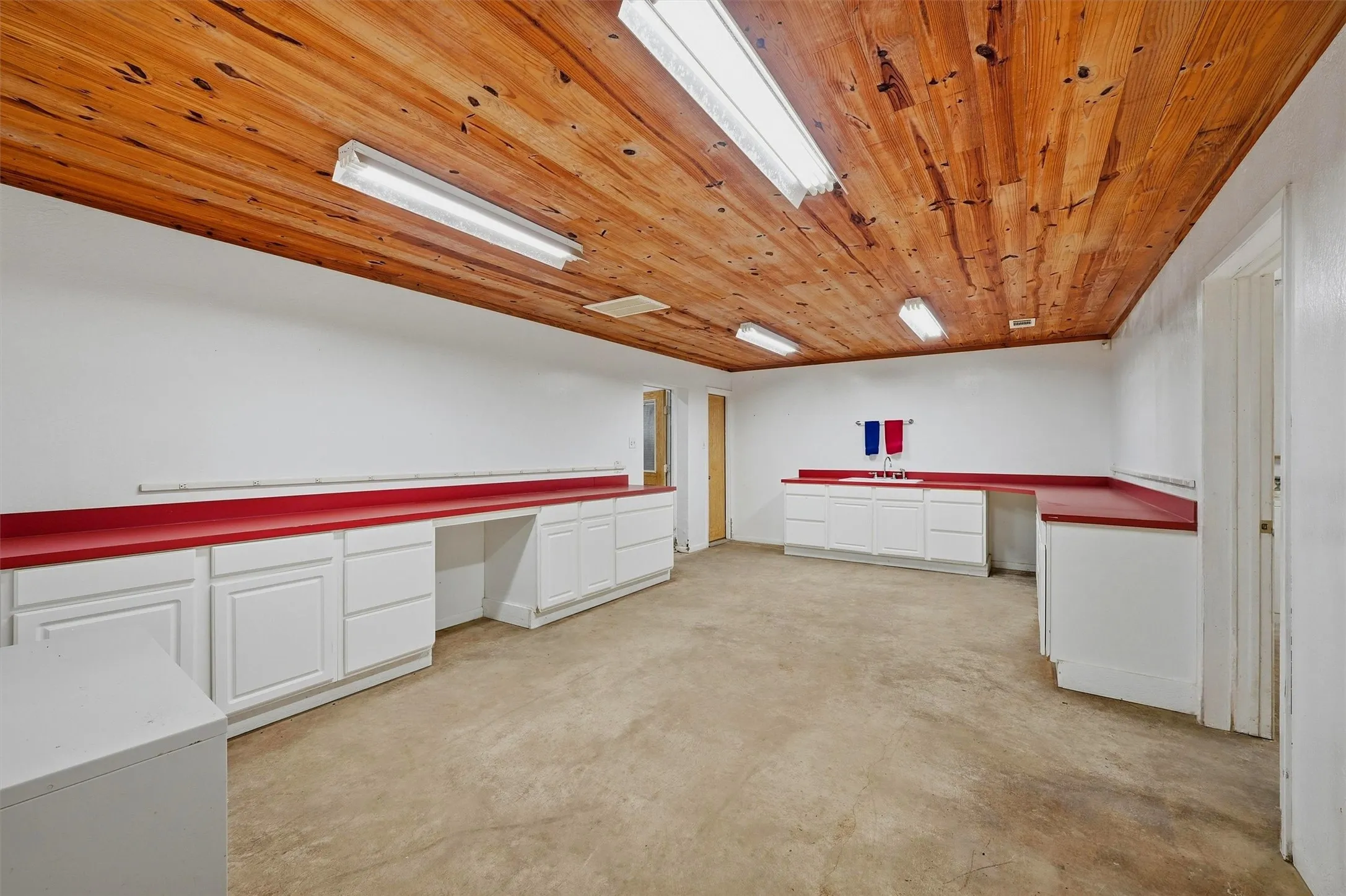 Lab area in the Arena Barn-Breeding Lab has lots of counter space and built in cabinetry for storage