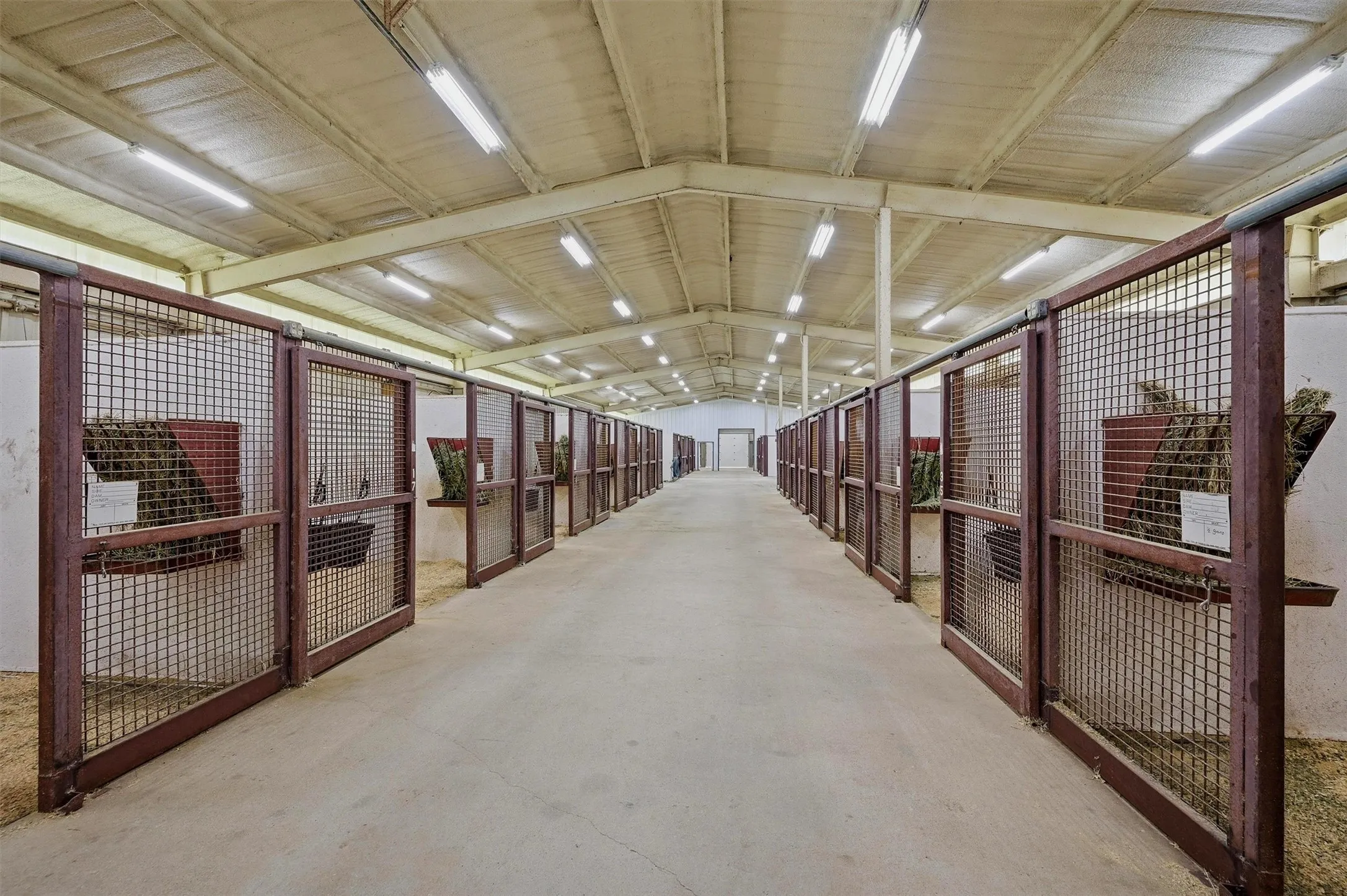 Show barn has 20 stalls, wash rack, breeding stocks, and electric fold up doors on the outside wall of each stall