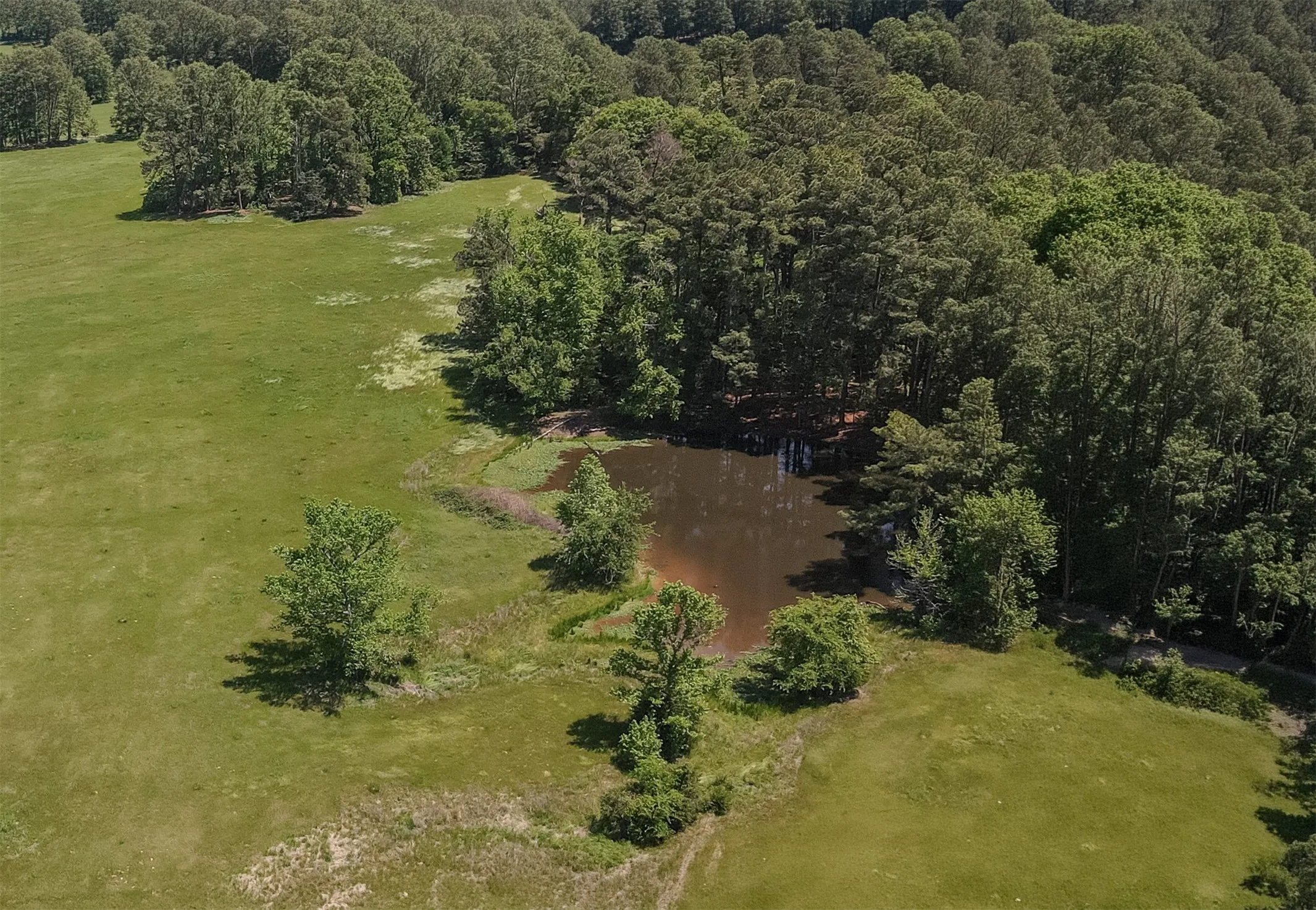 Unimproved Land For Sale in Wood County , 2852 FM 312, Winnsboro, Texas 75494, 0, 0, Garage spaces, 0 Sqft, built in 0, mls#21244511, Real Estate Agent in Winnsboro, Homes For Sale in Wood county, Homes For Sale in Winnsboro, Realtor in Winnsboro Texas, Real Estate Brokerage Independent Realty Texas, Luminita Cordes Realtor