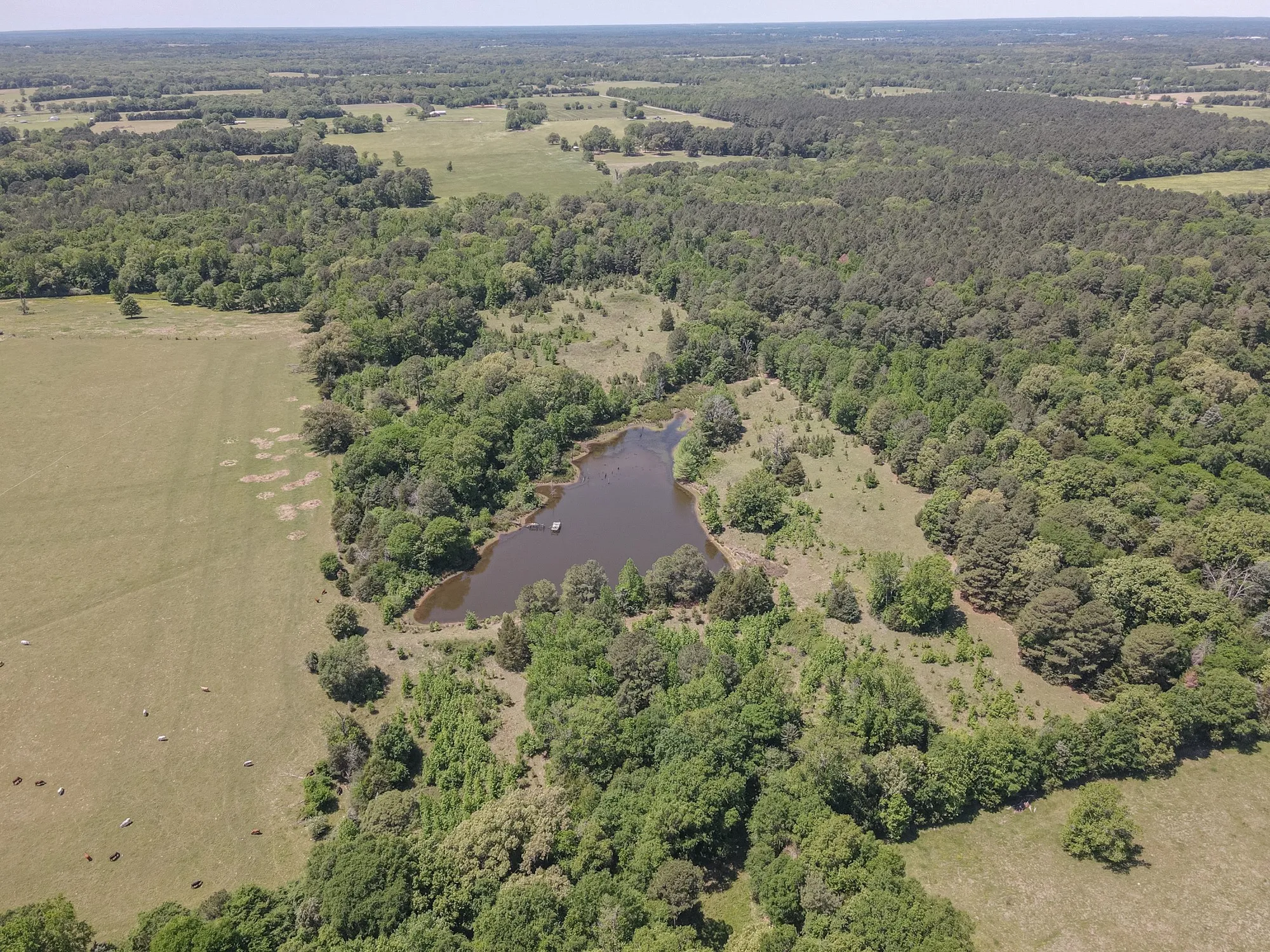 Unimproved Land For Sale in Wood County , 2852 FM 312, Winnsboro, Texas 75494, 0, 0, Garage spaces, 0 Sqft, built in 0, mls#21244511, Real Estate Agent in Winnsboro, Homes For Sale in Wood county, Homes For Sale in Winnsboro, Realtor in Winnsboro Texas, Real Estate Brokerage Independent Realty Texas, Luminita Cordes Realtor