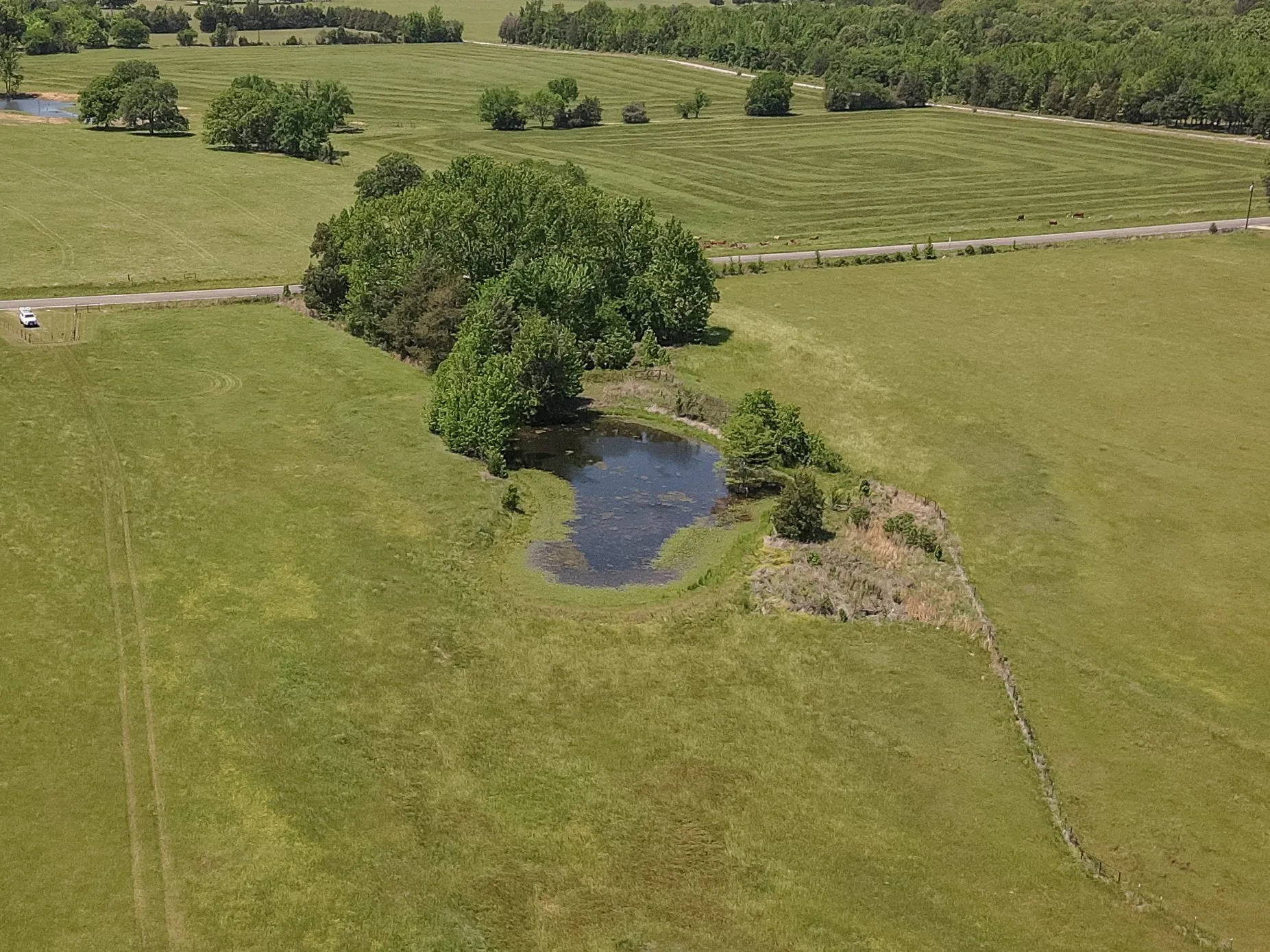 Unimproved Land For Sale in Wood County , 2852 FM 312, Winnsboro, Texas 75494, 0, 0, Garage spaces, 0 Sqft, built in 0, mls#21244511, Real Estate Agent in Winnsboro, Homes For Sale in Wood county, Homes For Sale in Winnsboro, Realtor in Winnsboro Texas, Real Estate Brokerage Independent Realty Texas, Luminita Cordes Realtor
