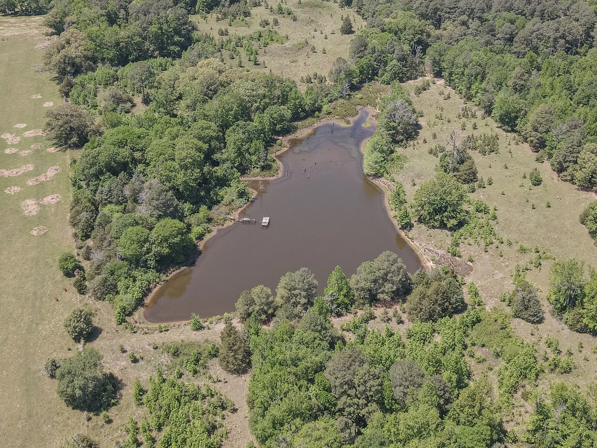 Unimproved Land For Sale in Wood County , 2852 FM 312, Winnsboro, Texas 75494, 0, 0, Garage spaces, 0 Sqft, built in 0, mls#21244511, Real Estate Agent in Winnsboro, Homes For Sale in Wood county, Homes For Sale in Winnsboro, Realtor in Winnsboro Texas, Real Estate Brokerage Independent Realty Texas, Luminita Cordes Realtor