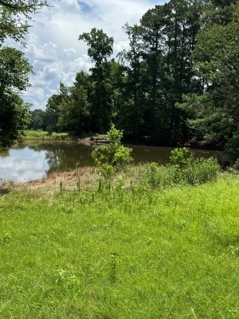 Unimproved Land For Sale in Wood County , 2852 FM 312, Winnsboro, Texas 75494, 0, 0, Garage spaces, 0 Sqft, built in 0, mls#21244511, Real Estate Agent in Winnsboro, Homes For Sale in Wood county, Homes For Sale in Winnsboro, Realtor in Winnsboro Texas, Real Estate Brokerage Independent Realty Texas, Luminita Cordes Realtor