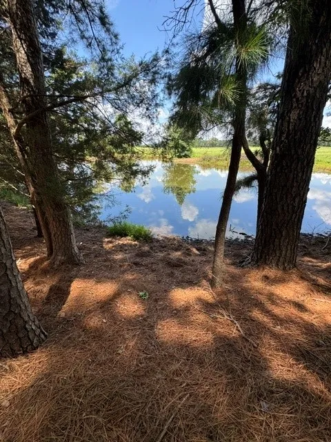 Unimproved Land For Sale in Wood County , 2852 FM 312, Winnsboro, Texas 75494, 0, 0, Garage spaces, 0 Sqft, built in 0, mls#21244511, Real Estate Agent in Winnsboro, Homes For Sale in Wood county, Homes For Sale in Winnsboro, Realtor in Winnsboro Texas, Real Estate Brokerage Independent Realty Texas, Luminita Cordes Realtor