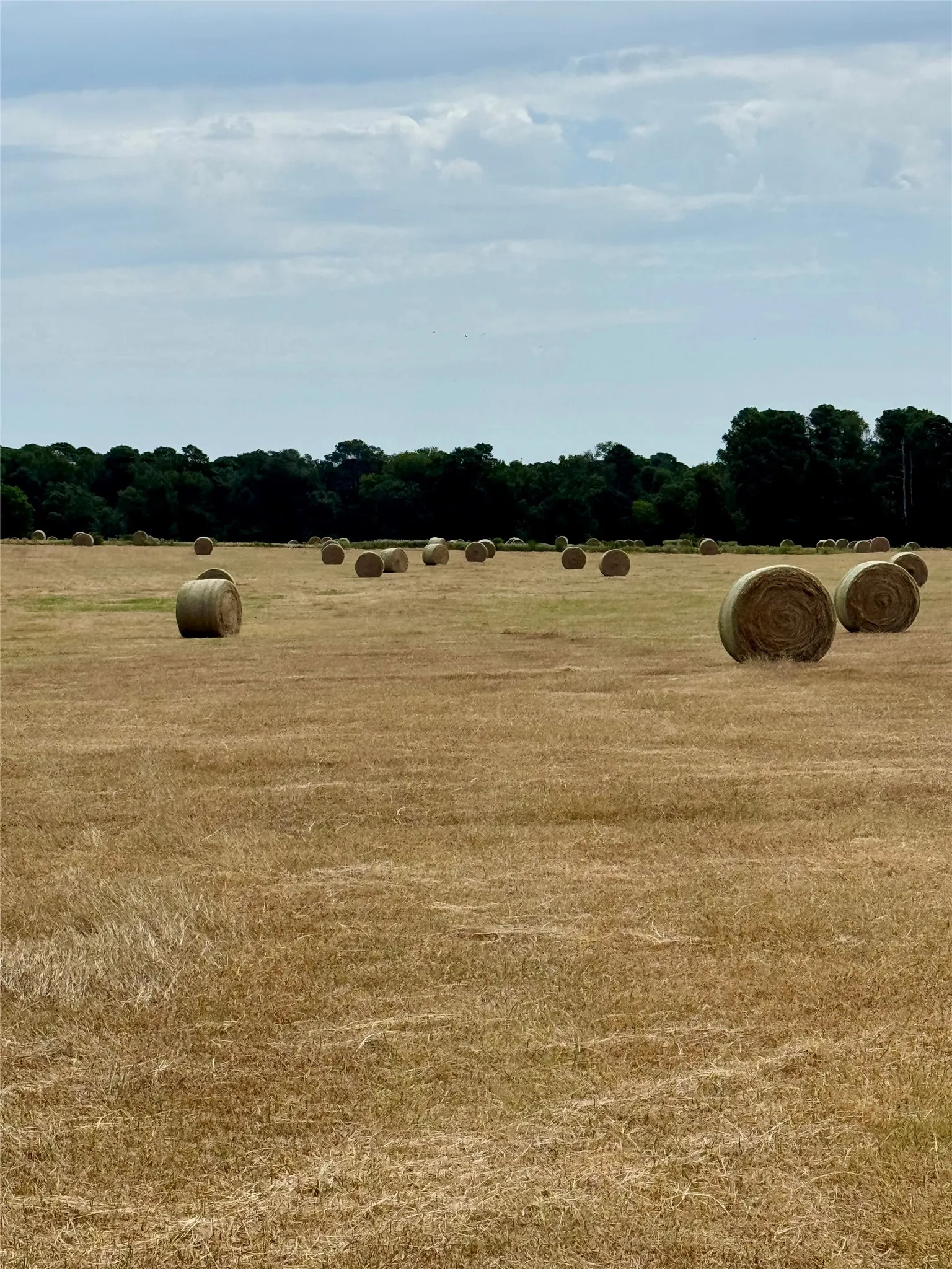 Unimproved Land For Sale in Wood County , 2852 FM 312, Winnsboro, Texas 75494, 0, 0, Garage spaces, 0 Sqft, built in 0, mls#21244511, Real Estate Agent in Winnsboro, Homes For Sale in Wood county, Homes For Sale in Winnsboro, Realtor in Winnsboro Texas, Real Estate Brokerage Independent Realty Texas, Luminita Cordes Realtor