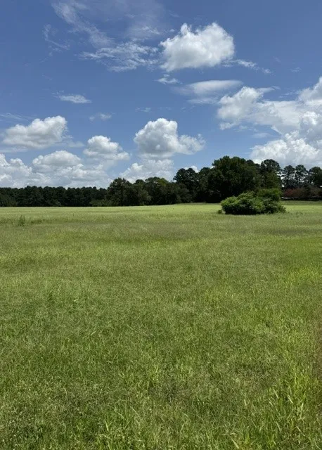 Unimproved Land For Sale in Wood County , 2852 FM 312, Winnsboro, Texas 75494, 0, 0, Garage spaces, 0 Sqft, built in 0, mls#21244511, Real Estate Agent in Winnsboro, Homes For Sale in Wood county, Homes For Sale in Winnsboro, Realtor in Winnsboro Texas, Real Estate Brokerage Independent Realty Texas, Luminita Cordes Realtor