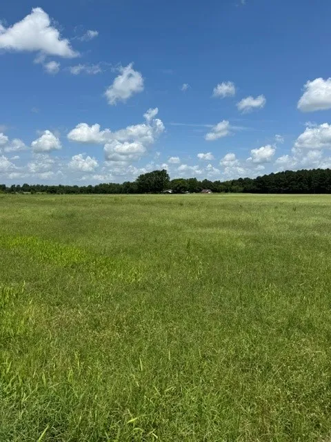 Unimproved Land For Sale in Wood County , 2852 FM 312, Winnsboro, Texas 75494, 0, 0, Garage spaces, 0 Sqft, built in 0, mls#21244511, Real Estate Agent in Winnsboro, Homes For Sale in Wood county, Homes For Sale in Winnsboro, Realtor in Winnsboro Texas, Real Estate Brokerage Independent Realty Texas, Luminita Cordes Realtor