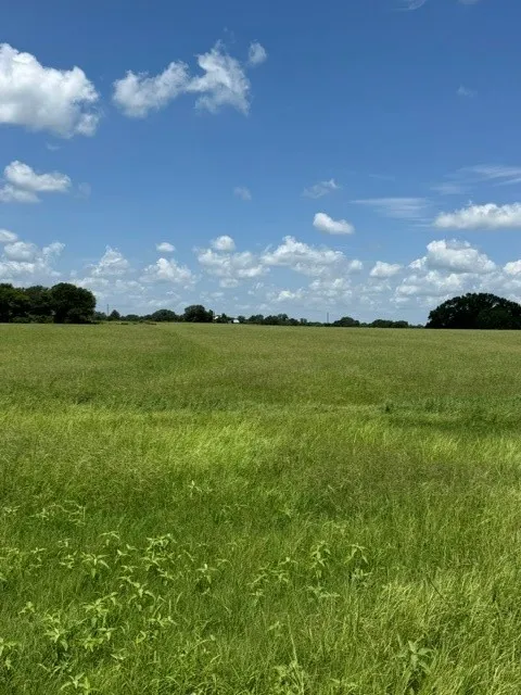 Unimproved Land For Sale in Wood County , 2852 FM 312, Winnsboro, Texas 75494, 0, 0, Garage spaces, 0 Sqft, built in 0, mls#21244511, Real Estate Agent in Winnsboro, Homes For Sale in Wood county, Homes For Sale in Winnsboro, Realtor in Winnsboro Texas, Real Estate Brokerage Independent Realty Texas, Luminita Cordes Realtor