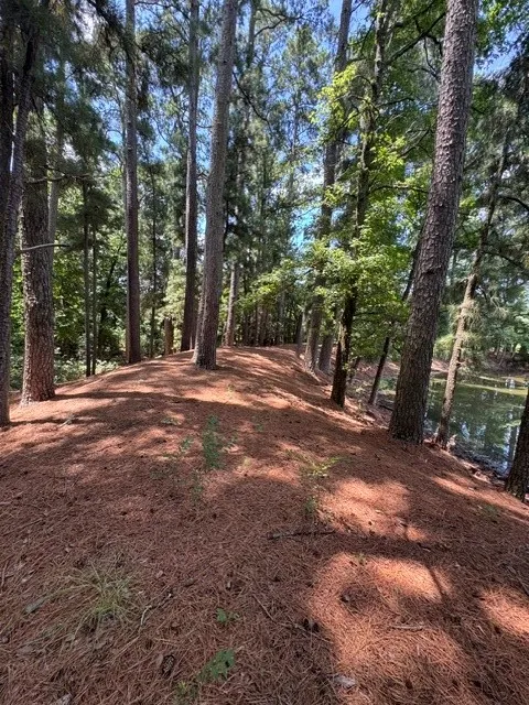 Unimproved Land For Sale in Wood County , 2852 FM 312, Winnsboro, Texas 75494, 0, 0, Garage spaces, 0 Sqft, built in 0, mls#21244511, Real Estate Agent in Winnsboro, Homes For Sale in Wood county, Homes For Sale in Winnsboro, Realtor in Winnsboro Texas, Real Estate Brokerage Independent Realty Texas, Luminita Cordes Realtor